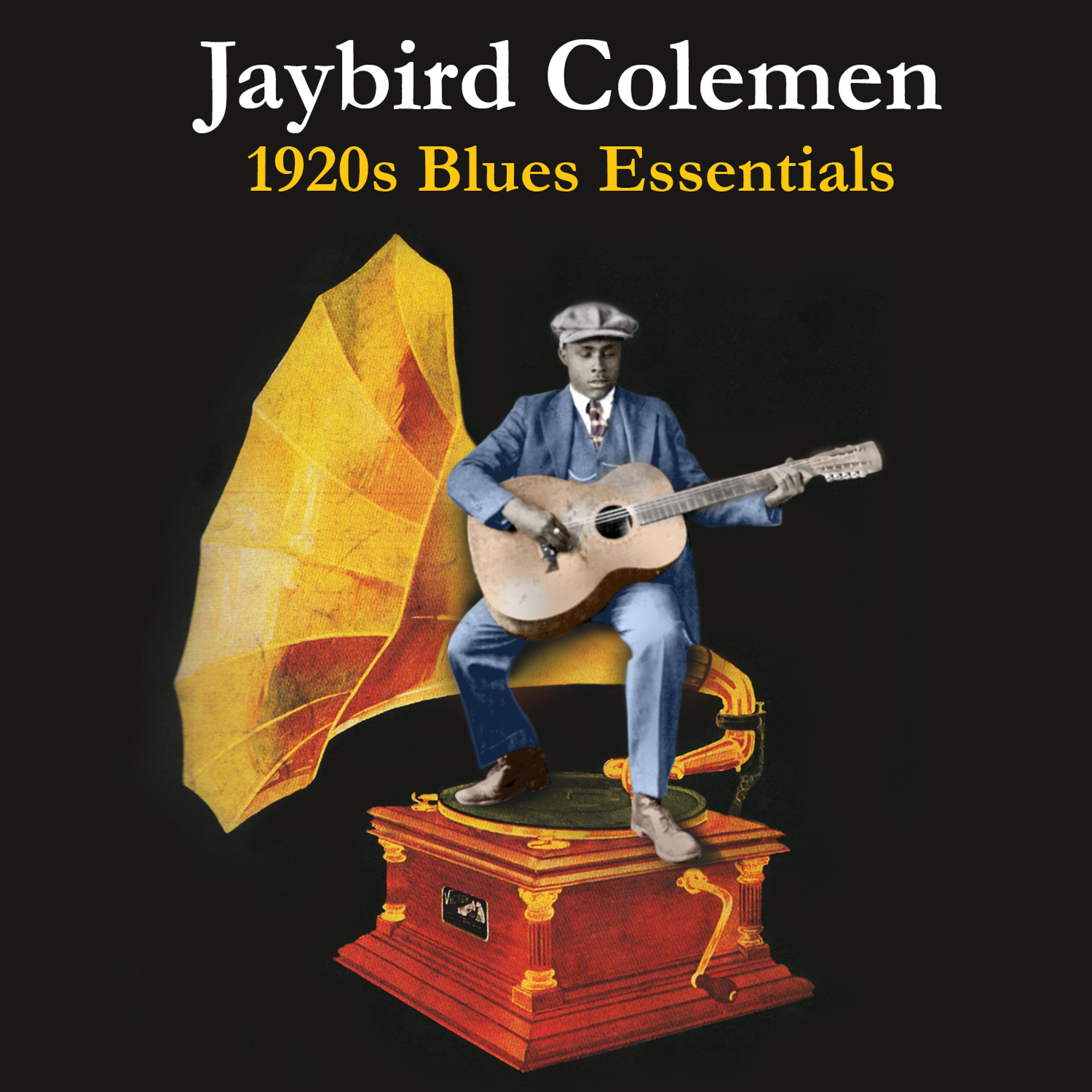 Постер альбома 1920s Blues Essentials
