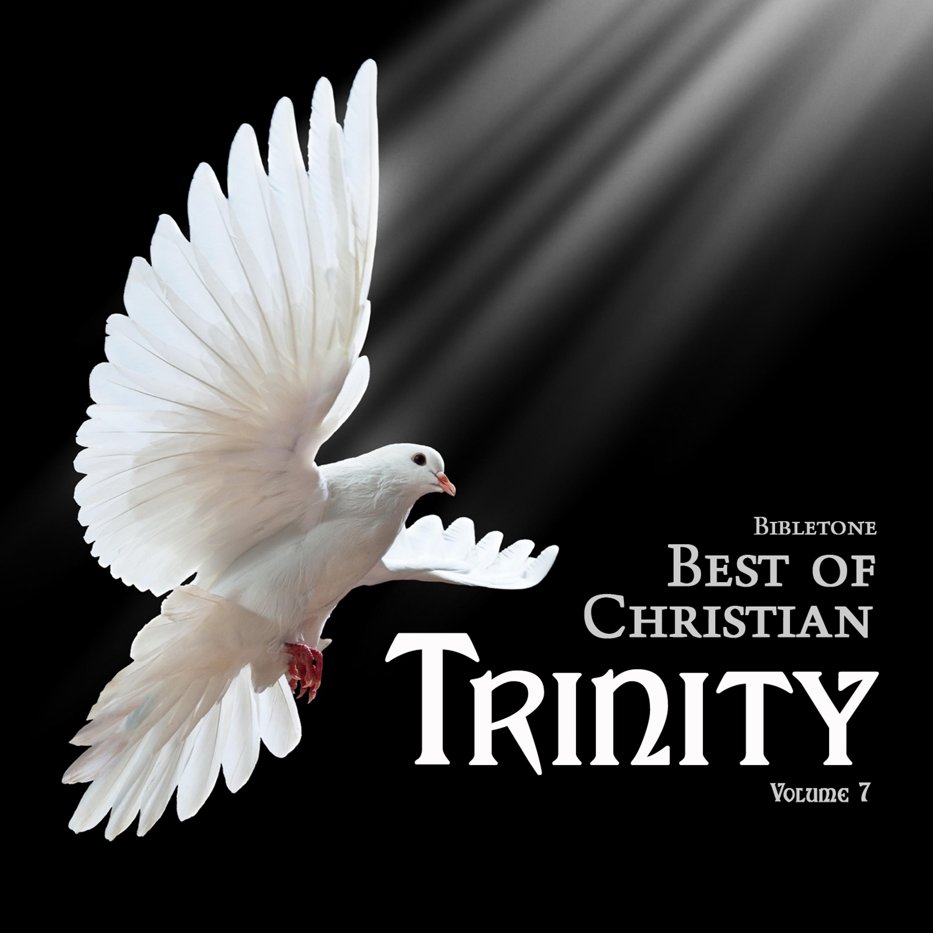 Постер альбома Bibletone: Best of Christian (Trinity), Vol. 7