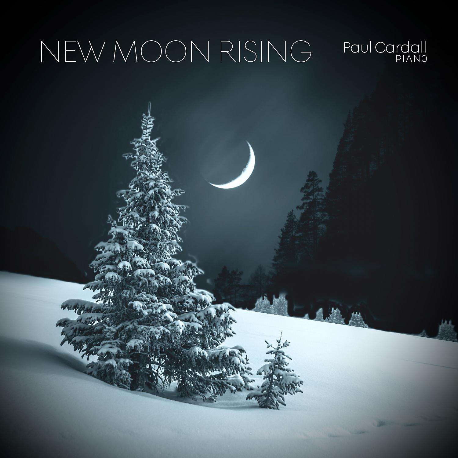 Постер альбома New Moon Rising