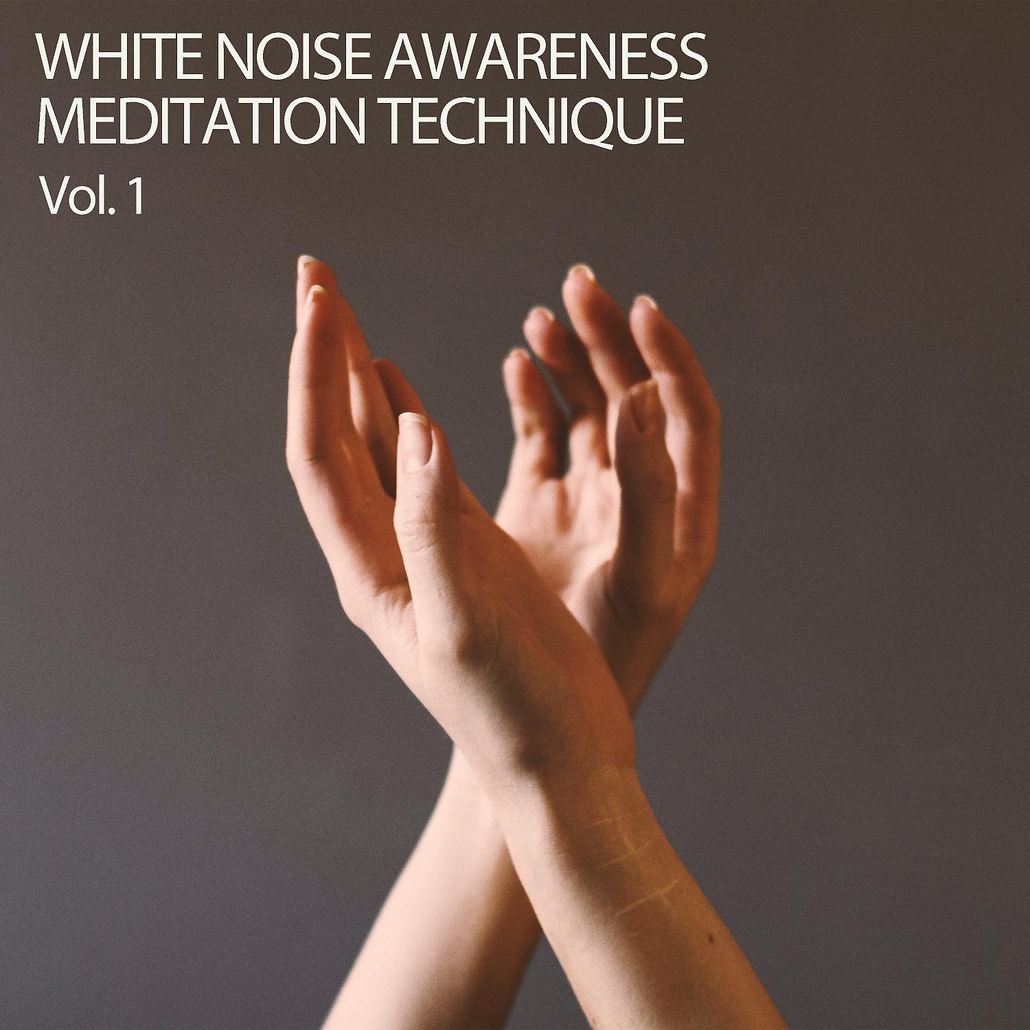 Постер альбома White Noise: Awareness Meditation Technique Vol. 1