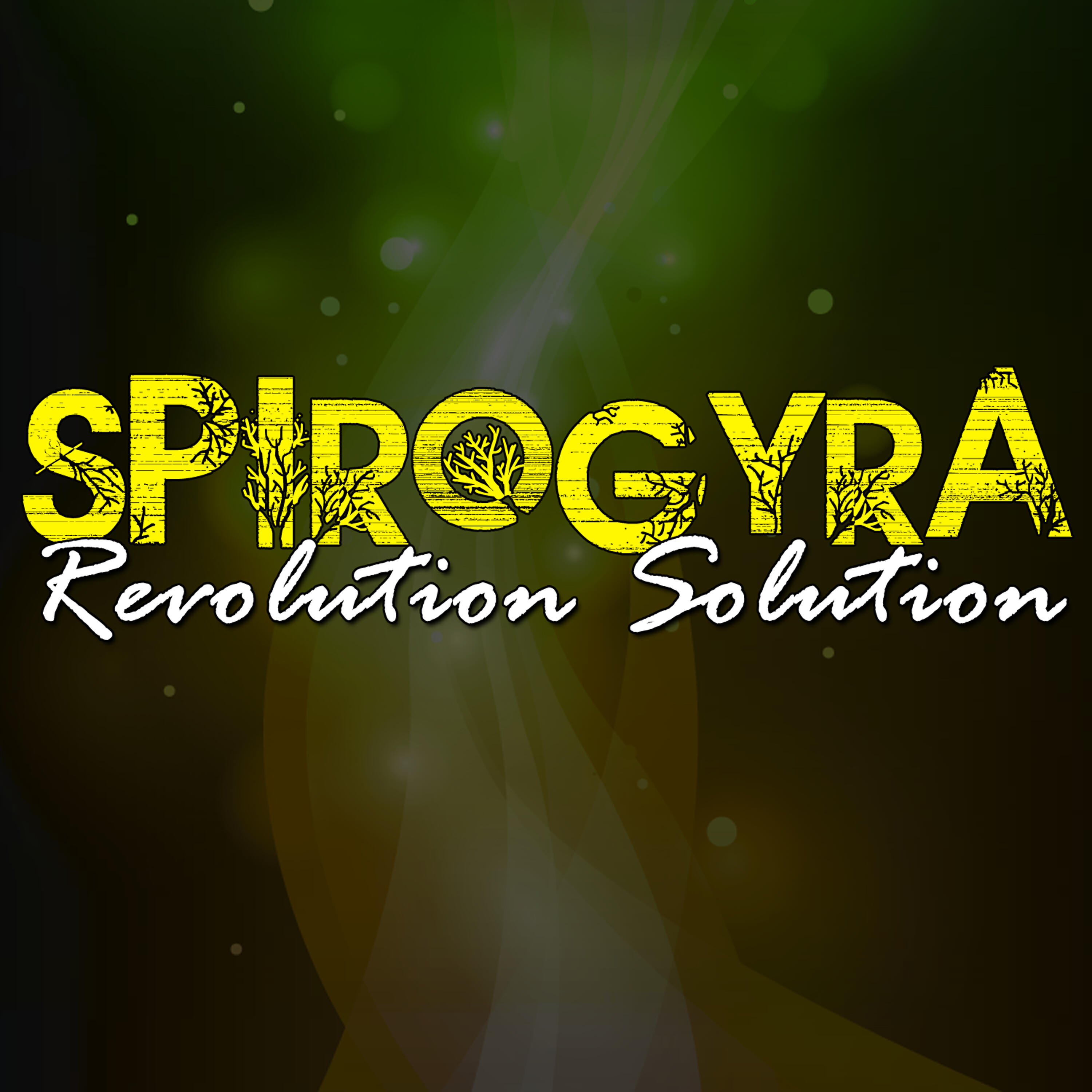 Spirogyra - Your Star Will Shine