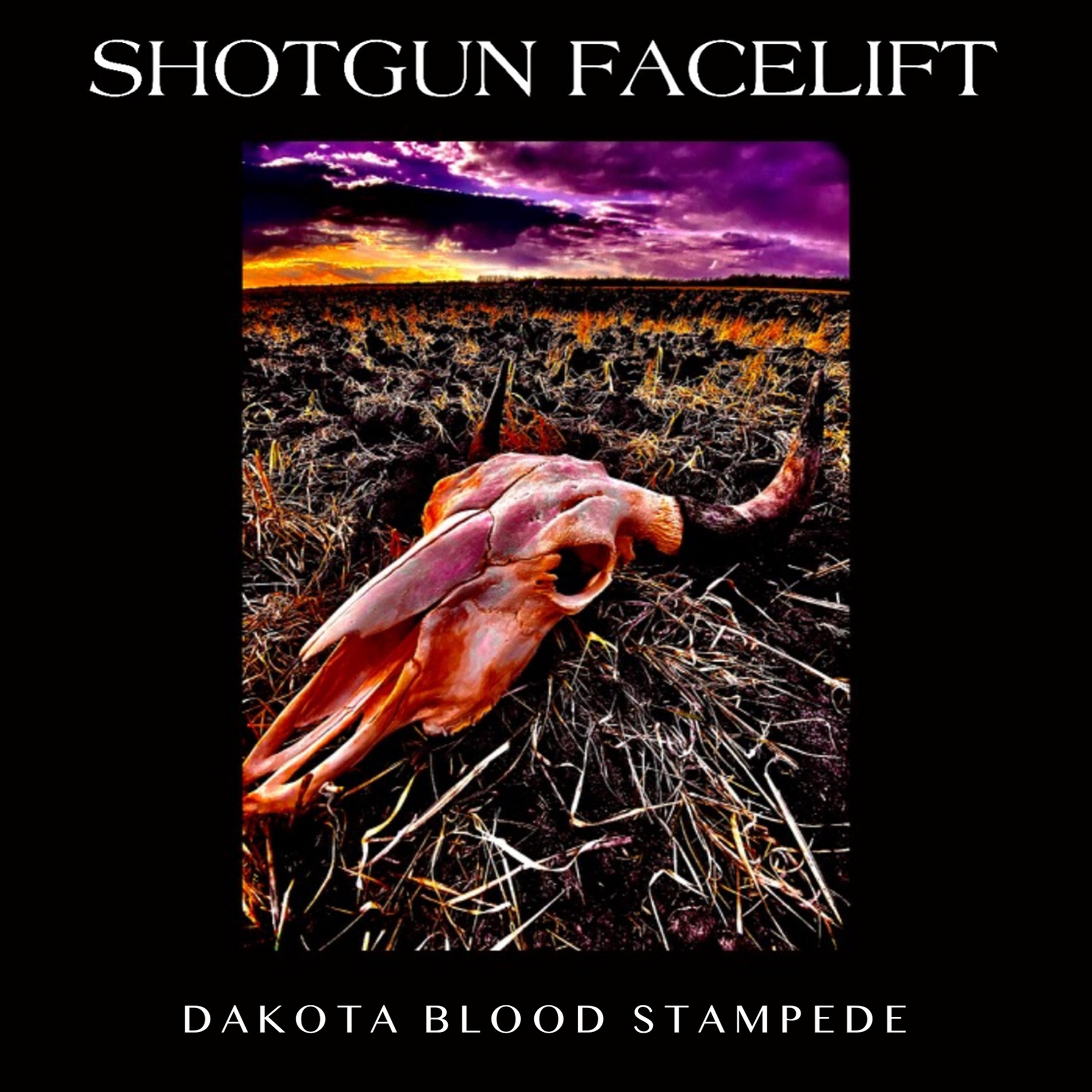 Постер альбома Dakota Blood Stampede