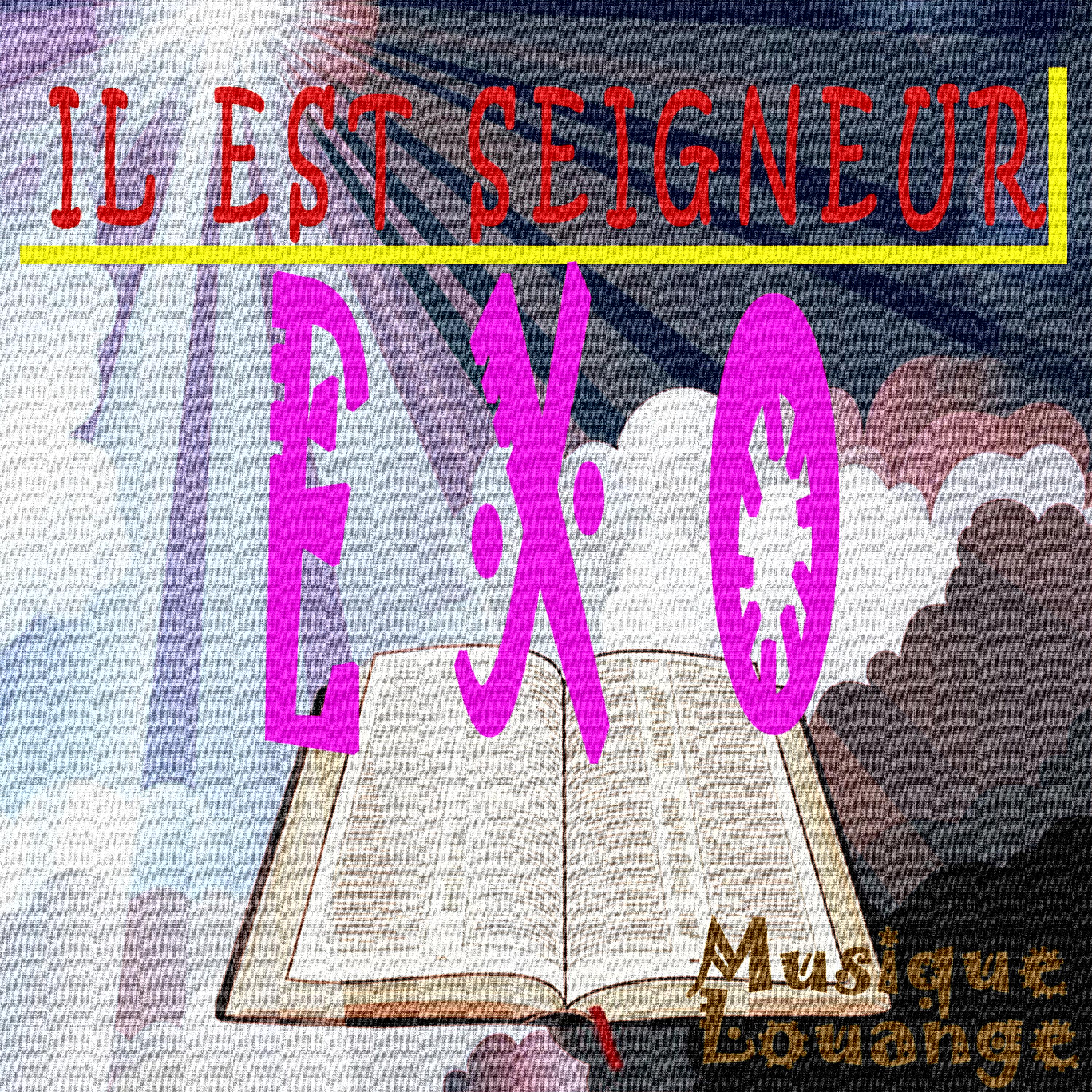 Постер альбома Musique Louange - Il est Seigneur