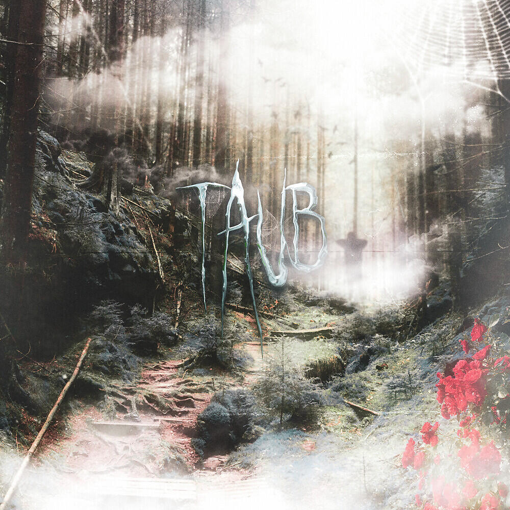 thixo - Taub