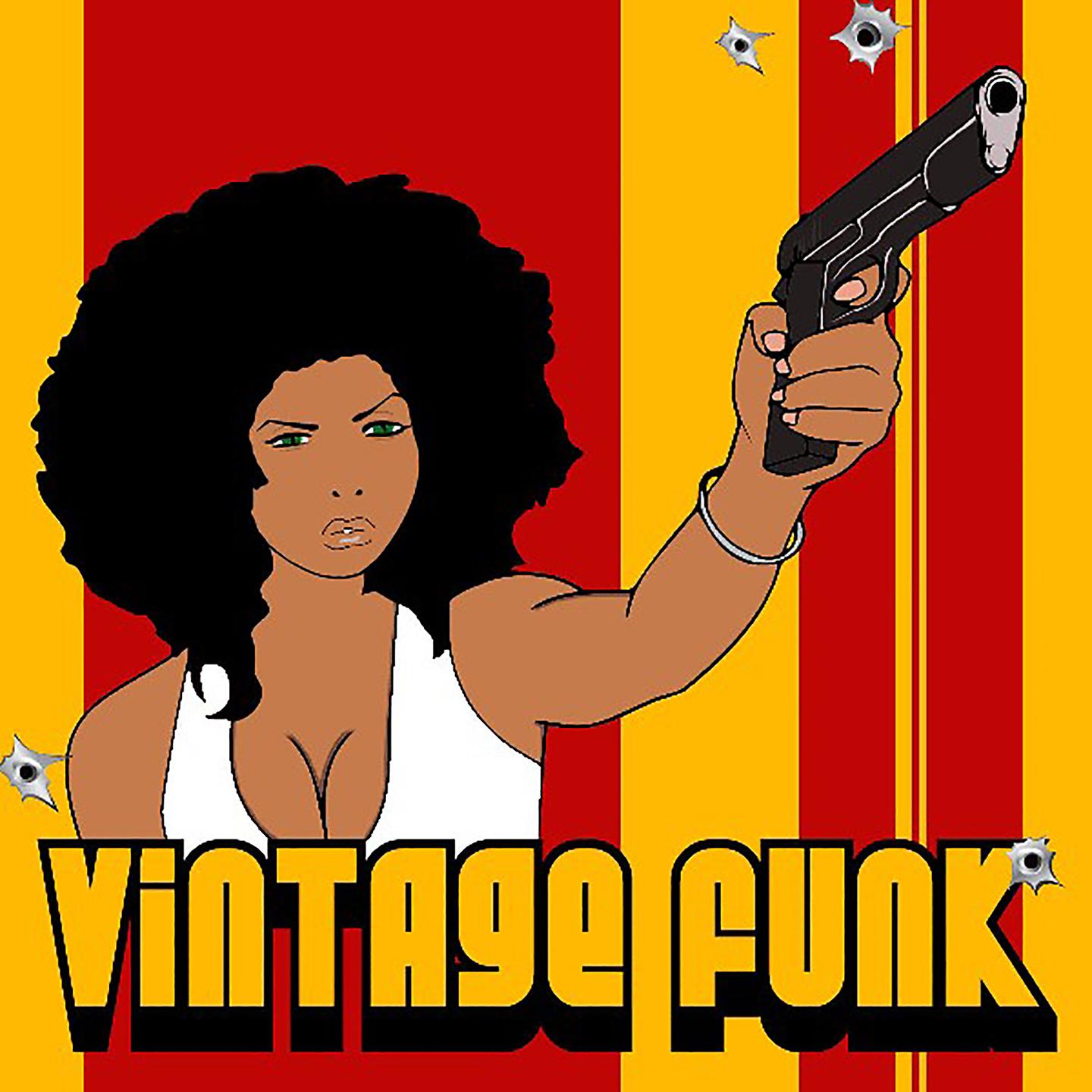Постер альбома Vintage Funk