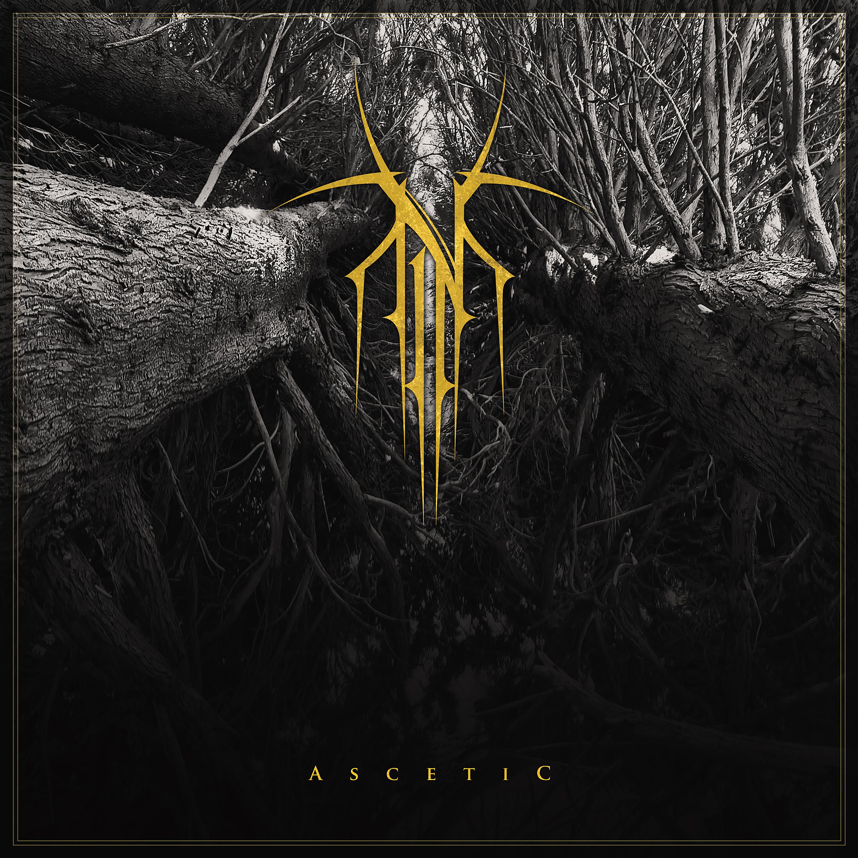Постер альбома Ascetic