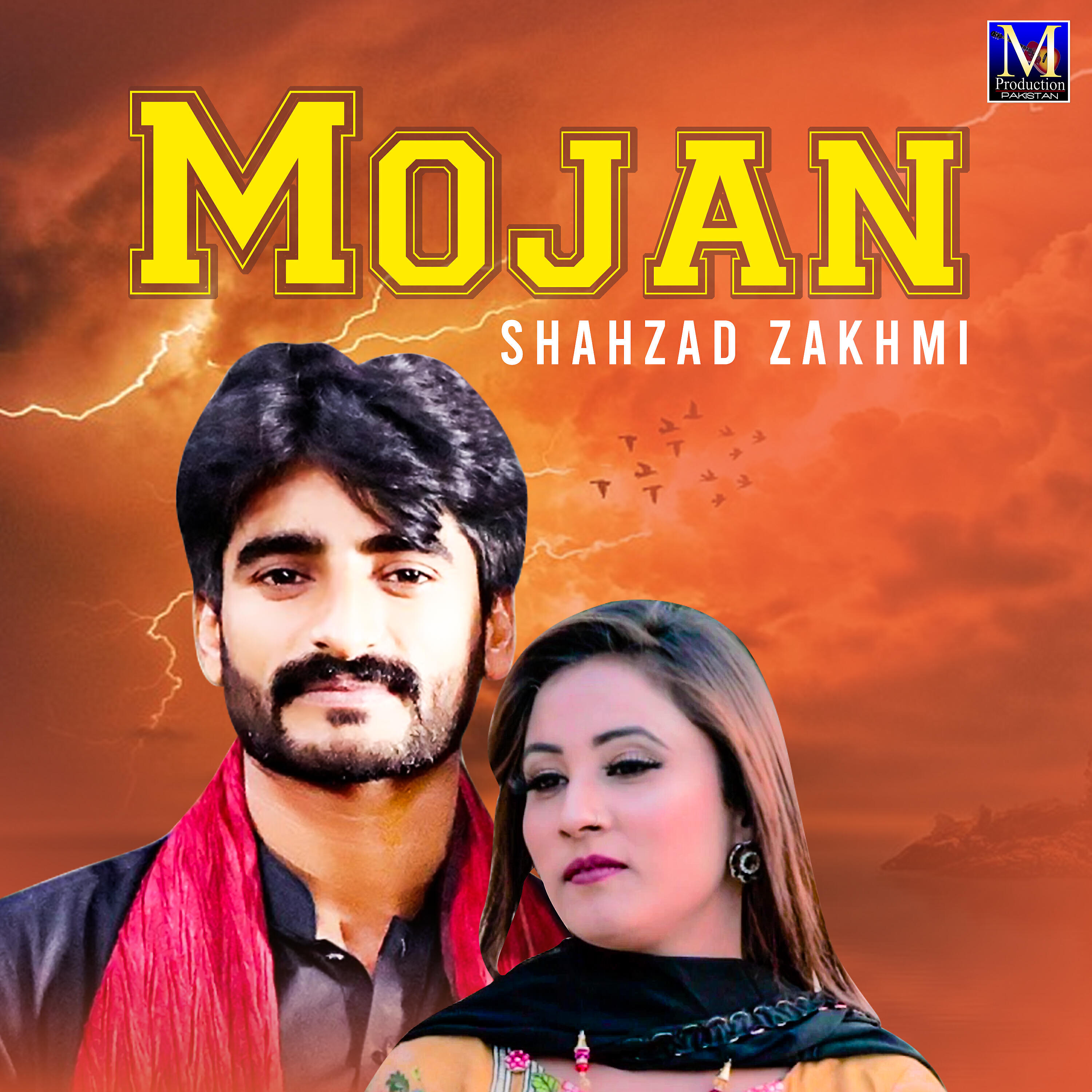 Shahzad Zakhmi - Arey Chalaye Ni Sade Han Te