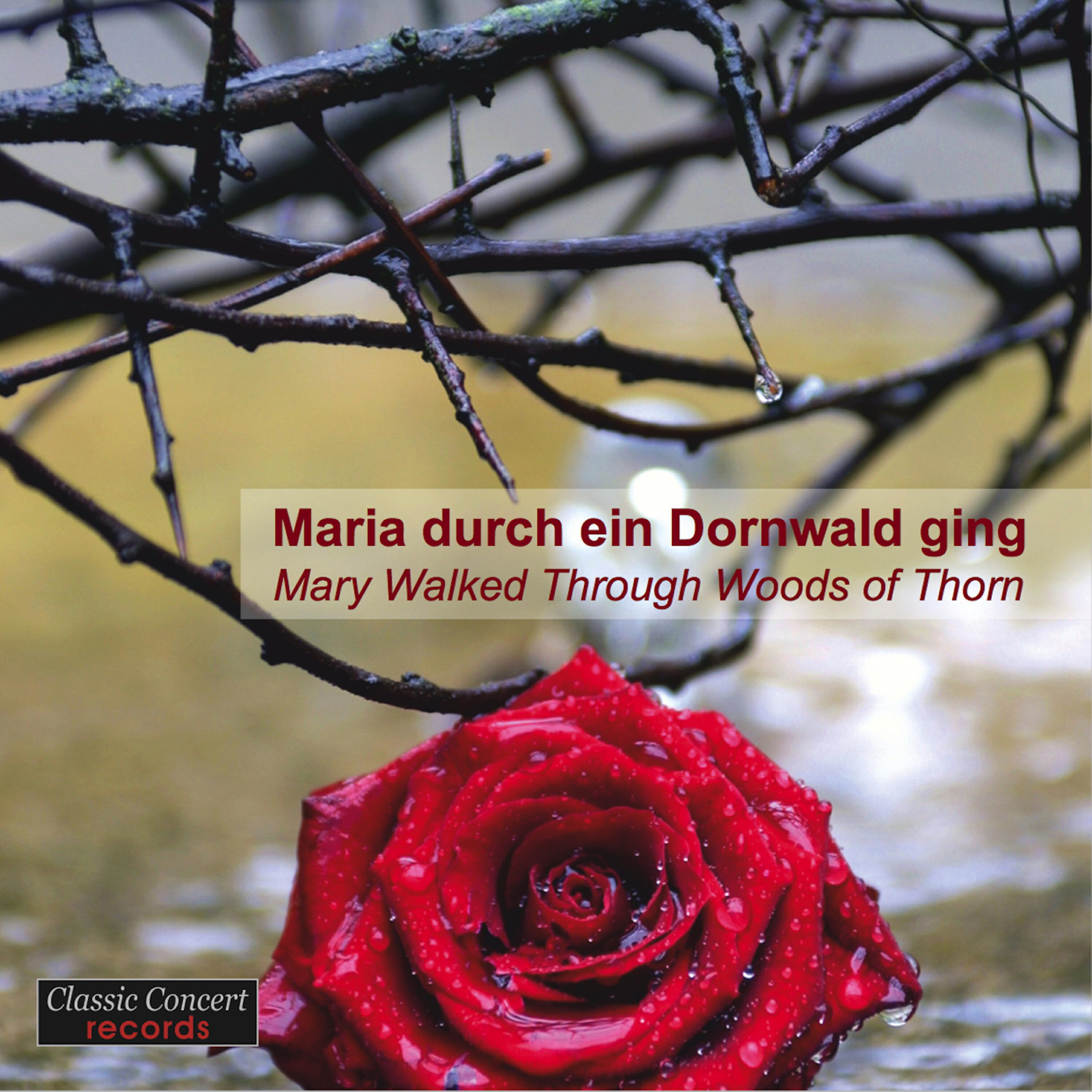 Alex Moling - Maria durch ein Dornwald ging - Mary Walked Through Woods of Thorn