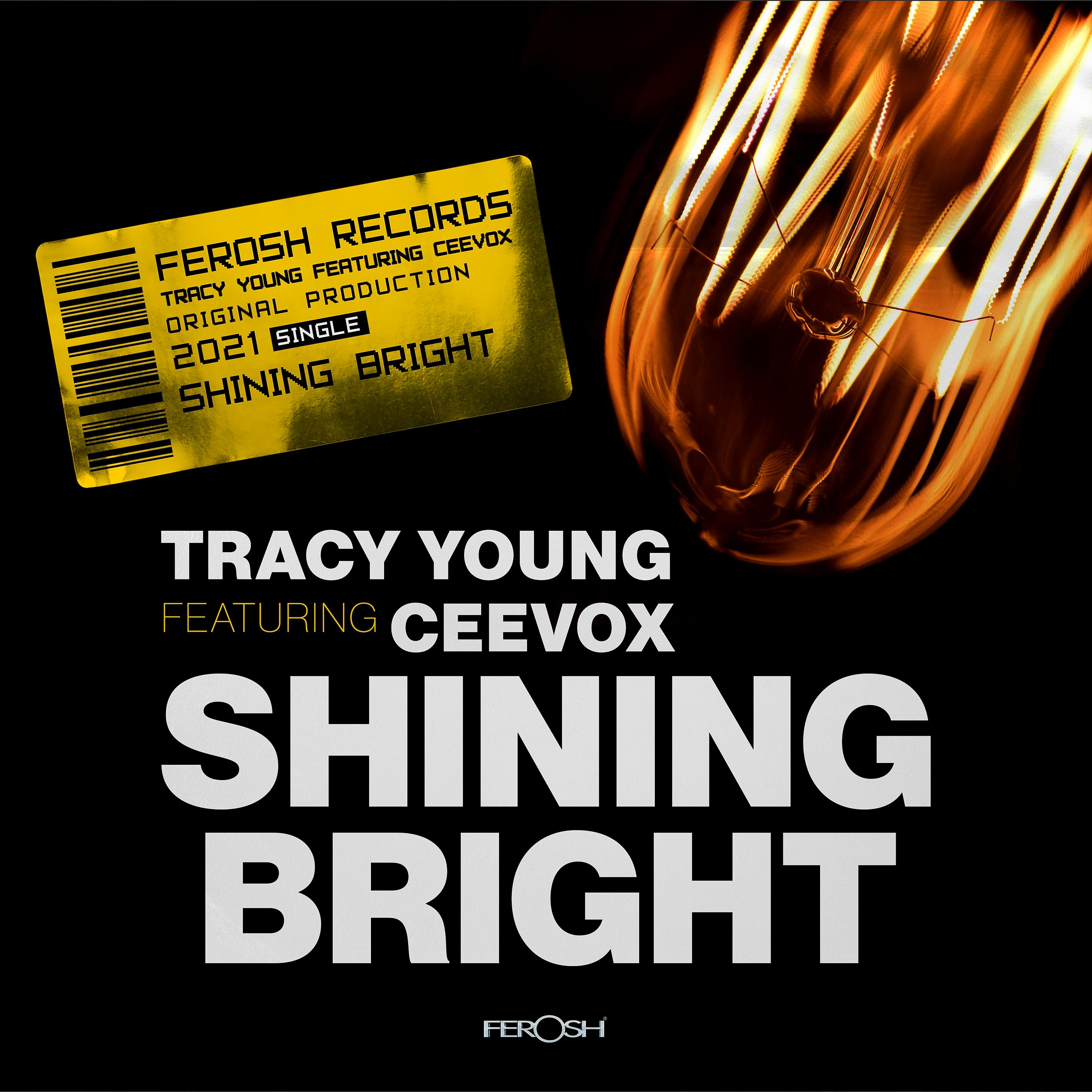 Постер альбома Shining Bright (feat. Ceevox)