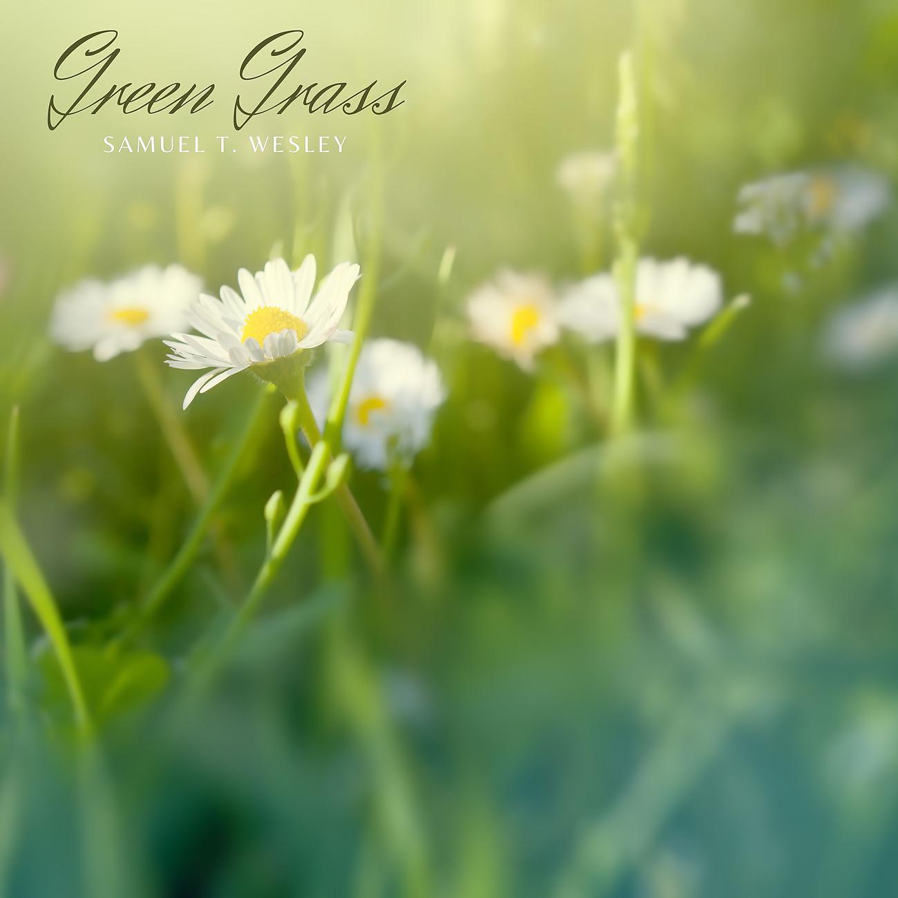 Постер альбома Green Grass