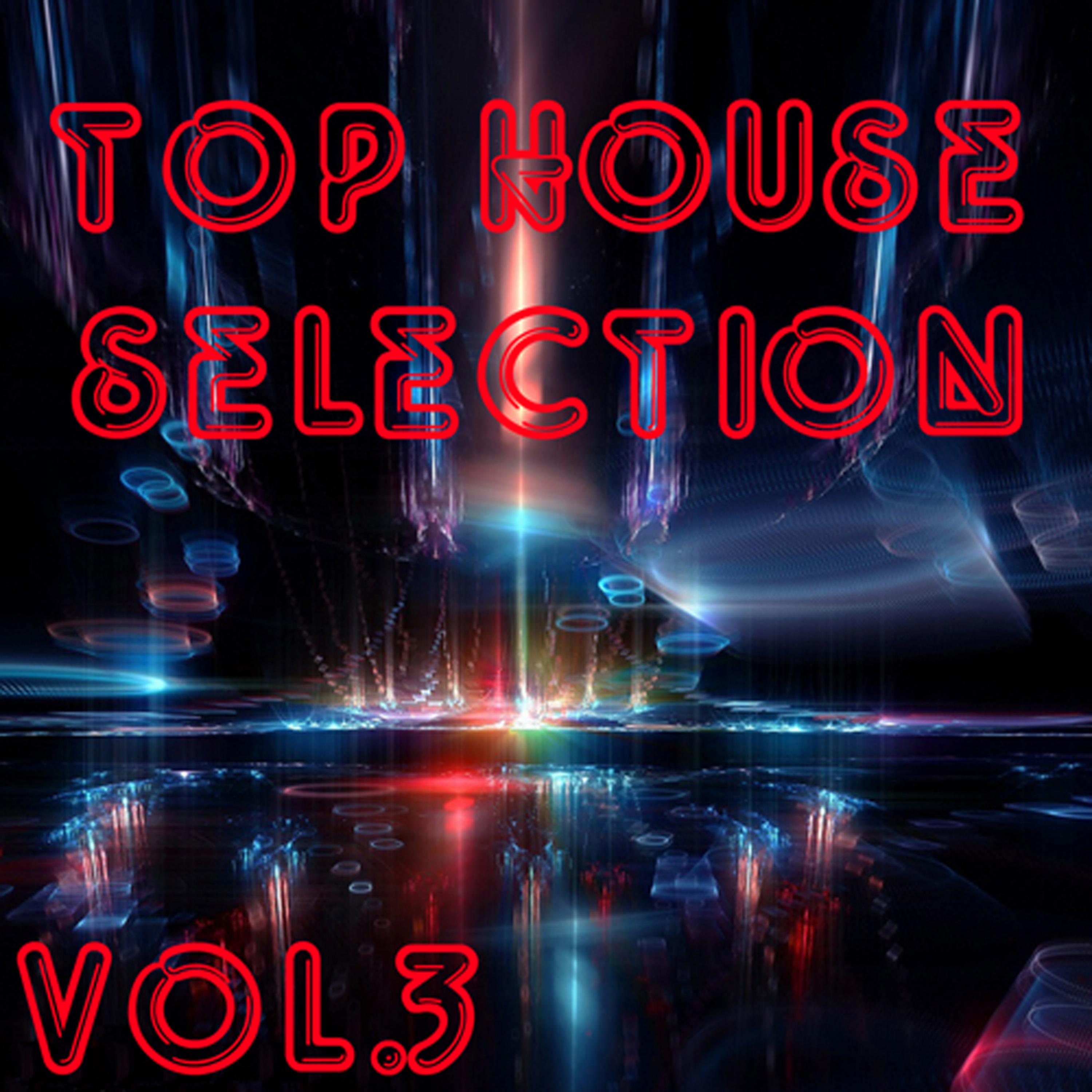 Постер альбома Top House Selection Vol. 3