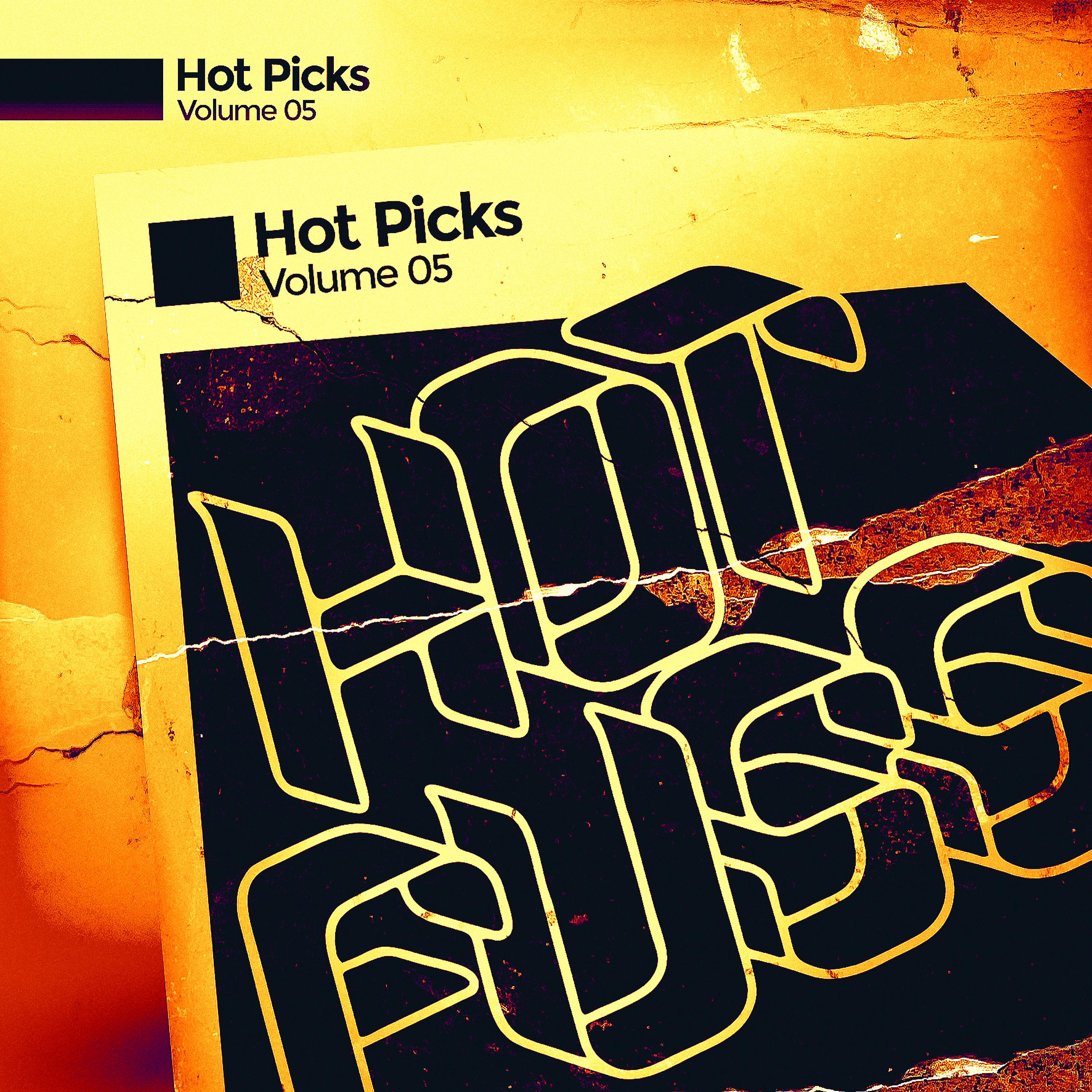 Постер альбома Hot Picks Vol.5