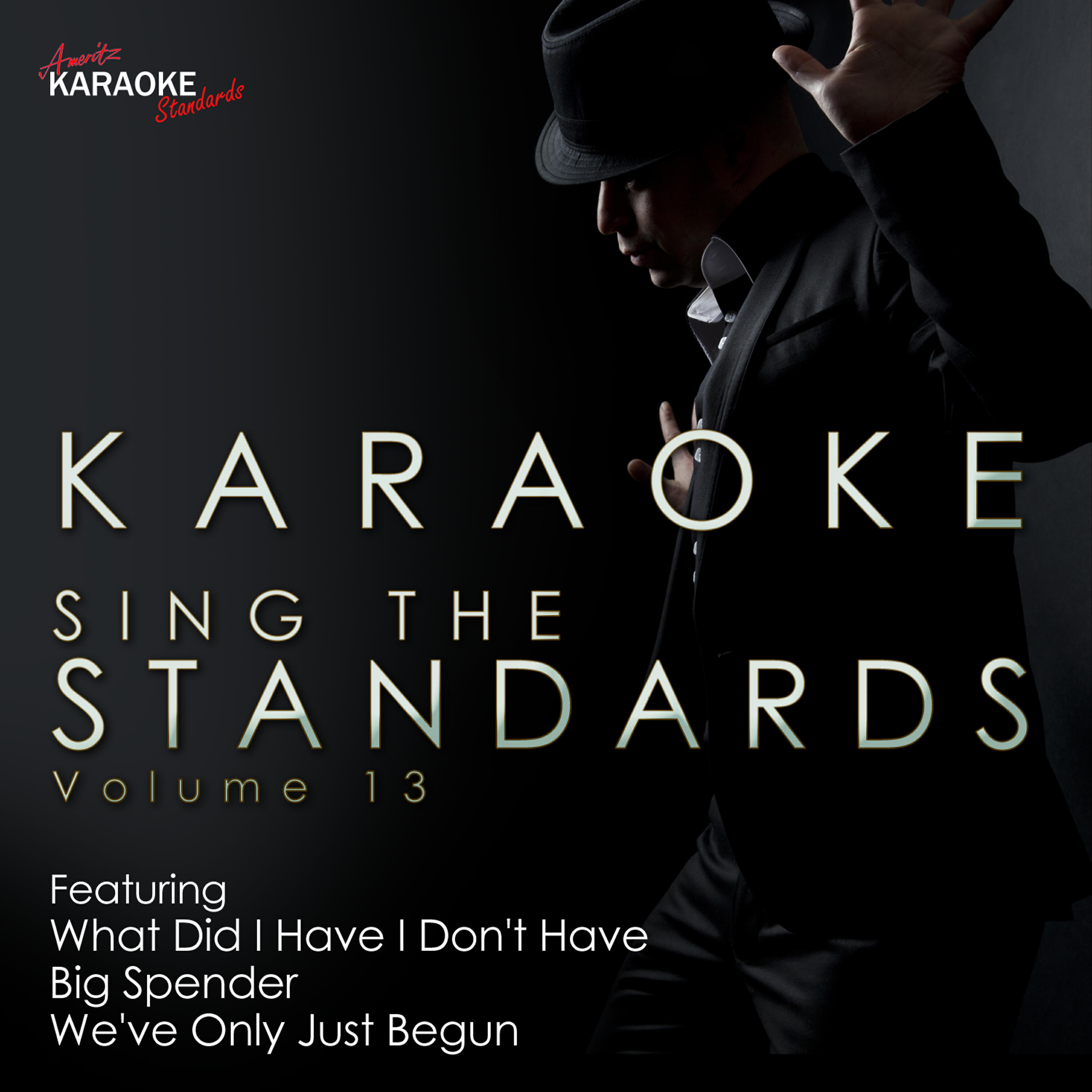 Ameritz Karaoke Standards - Puttin' On the Ritz (In the Style of Taco) [Karaoke Version]