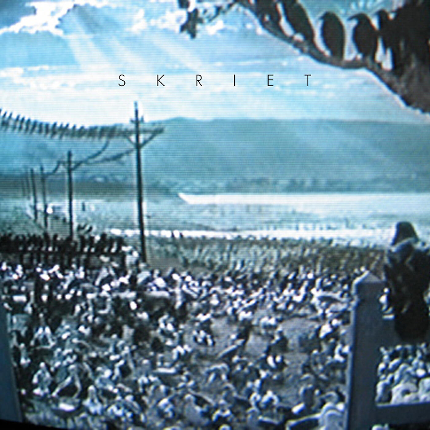 Skriet - Fåglarna (Hyper Plastic Remix)
