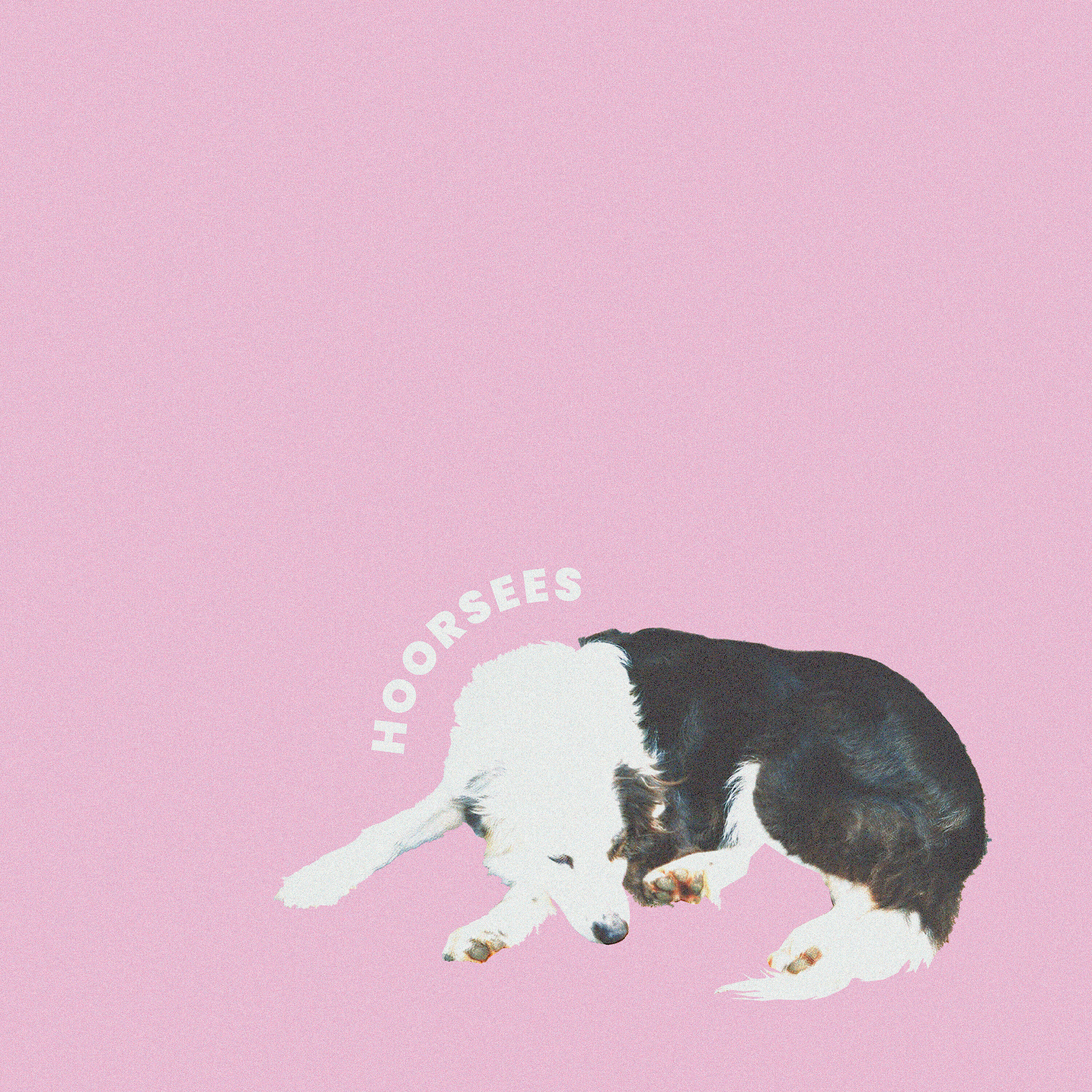 Hoorsees - Pitfall