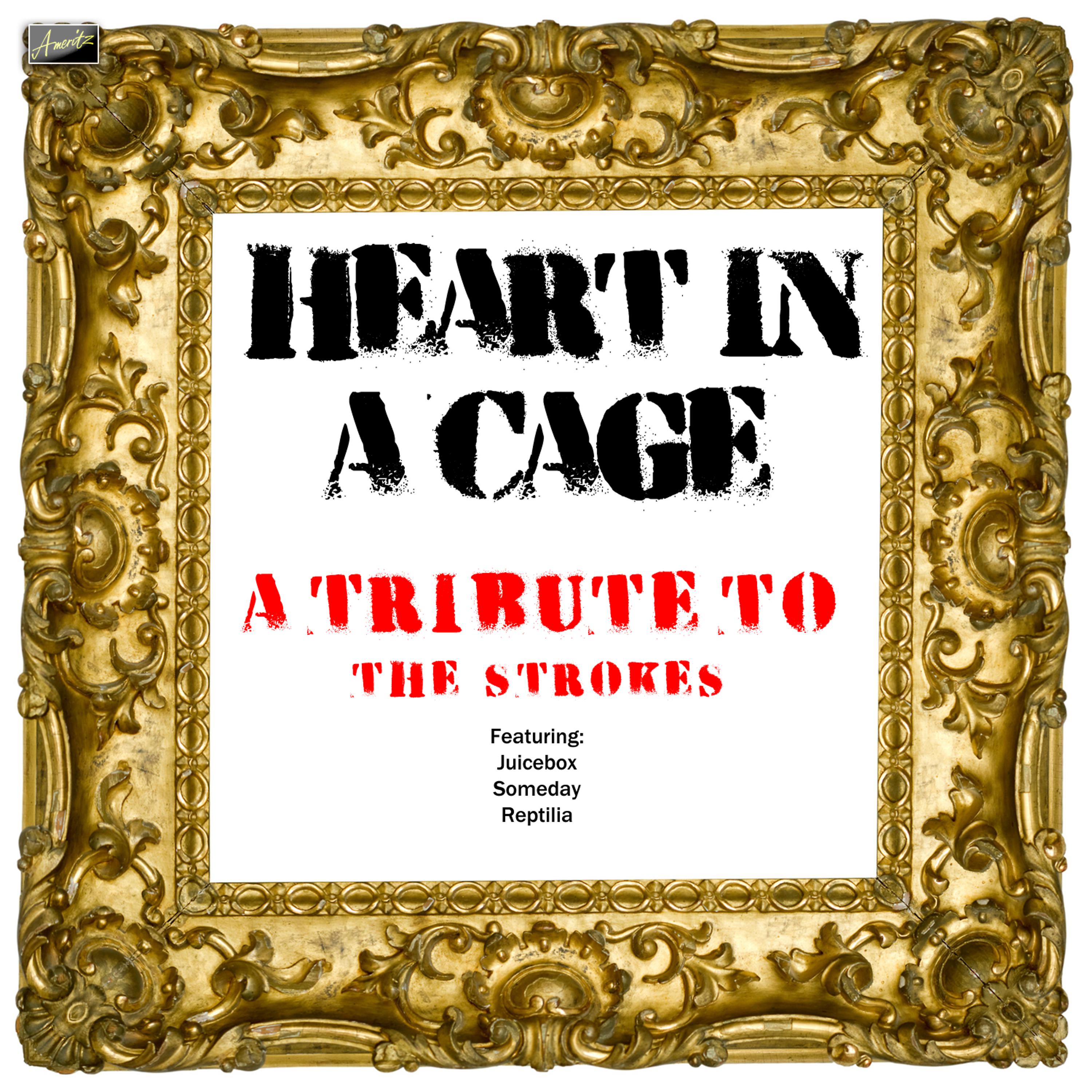 Постер альбома Heart in a Cage - A Tribute to The Strokes