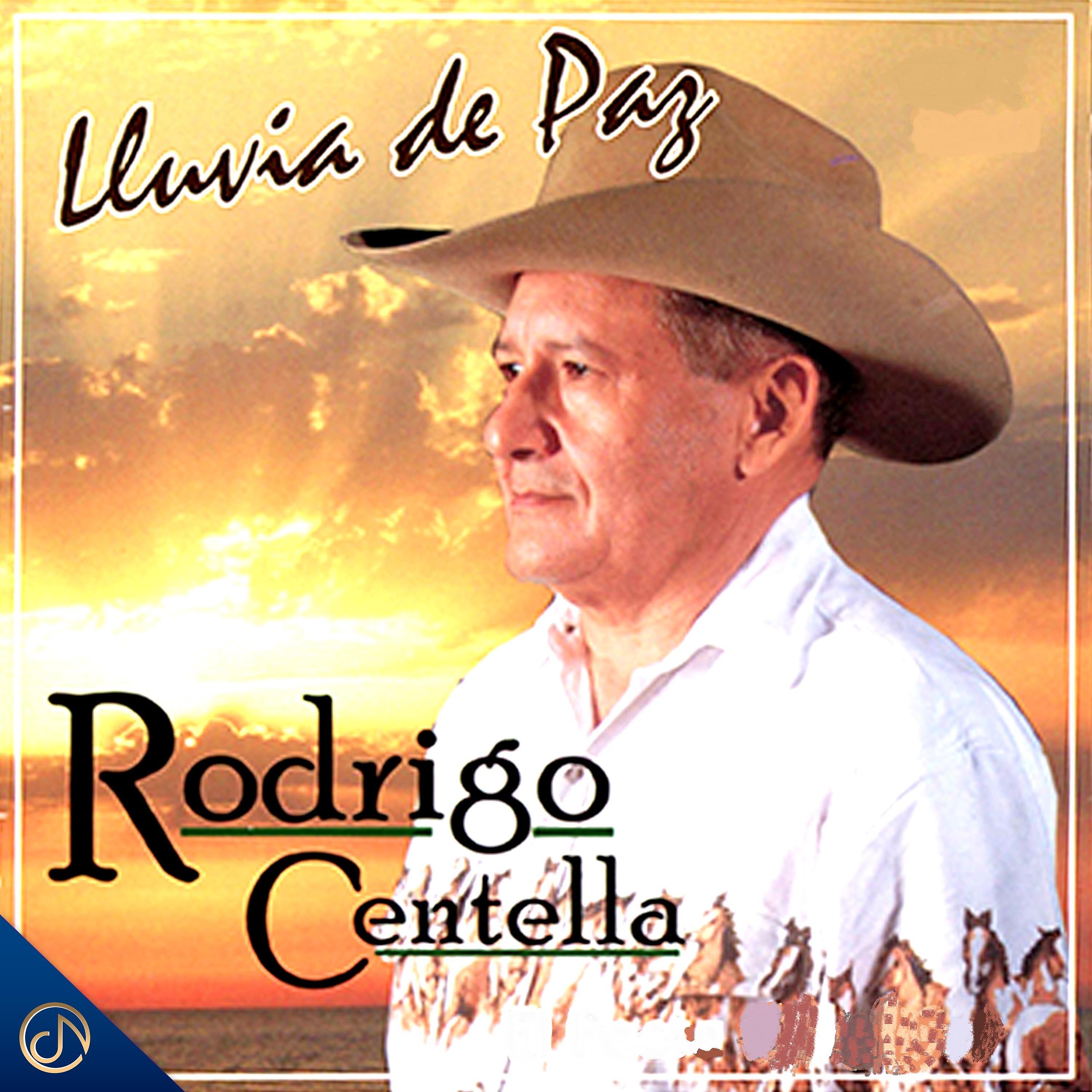 Постер альбома Lluvia de Paz