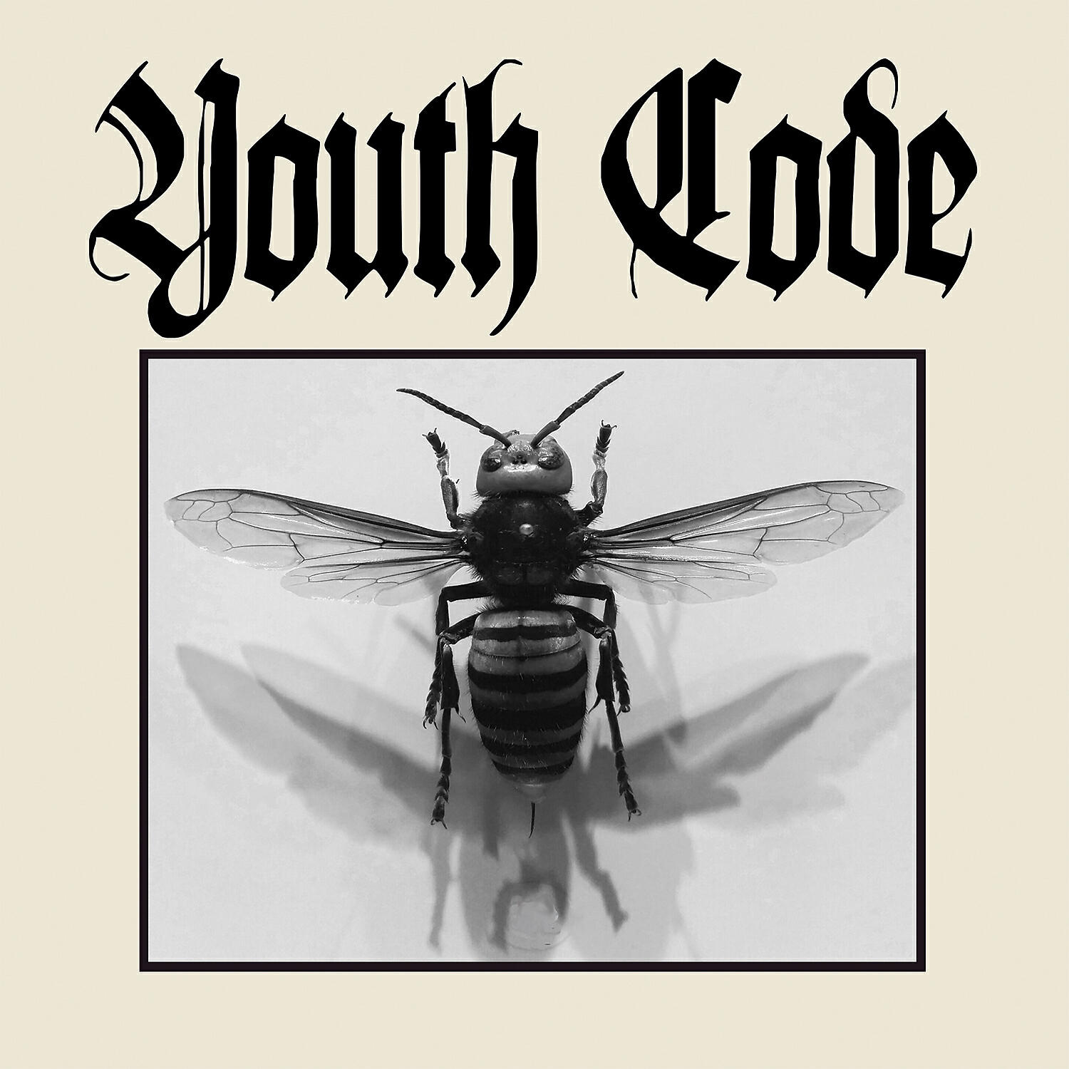 Youth Code - Shift of Dismay