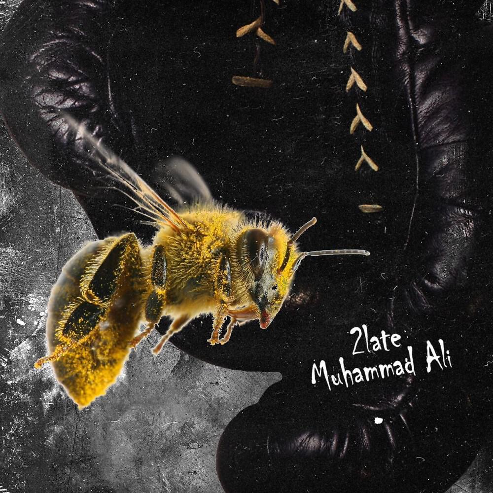2late - Muhammad Ali