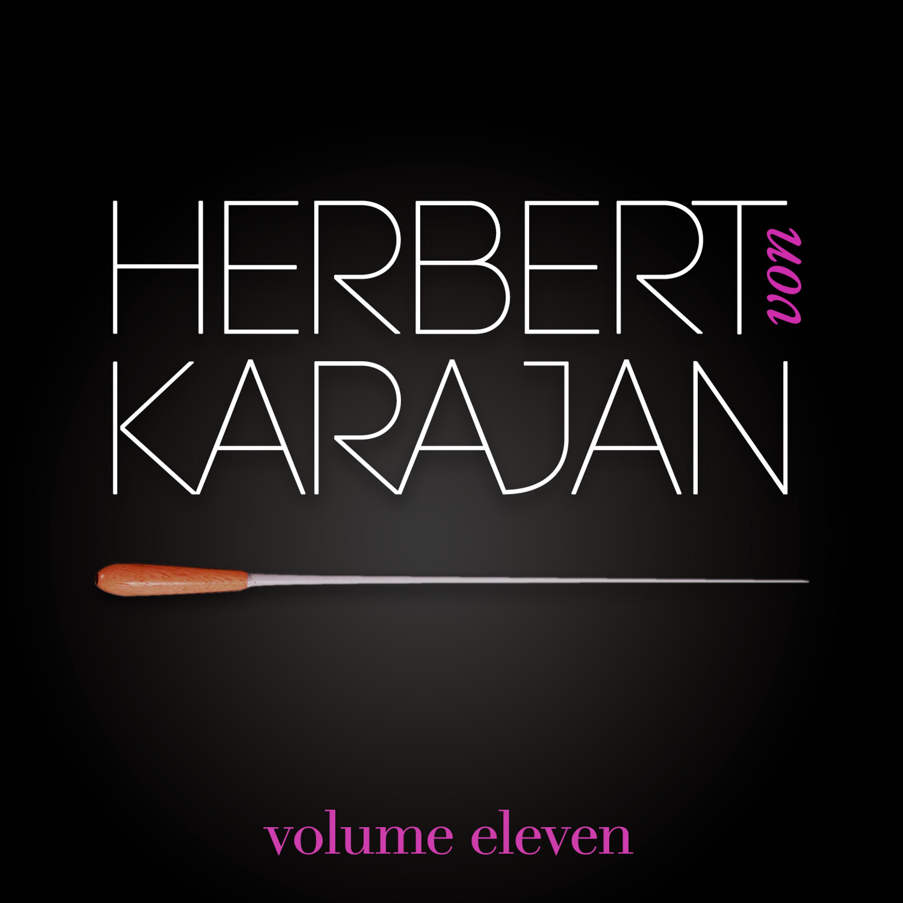 Постер альбома Herbert Von Karajan Vol. 11 : Les Valses De Vienne (Johann Strauss)