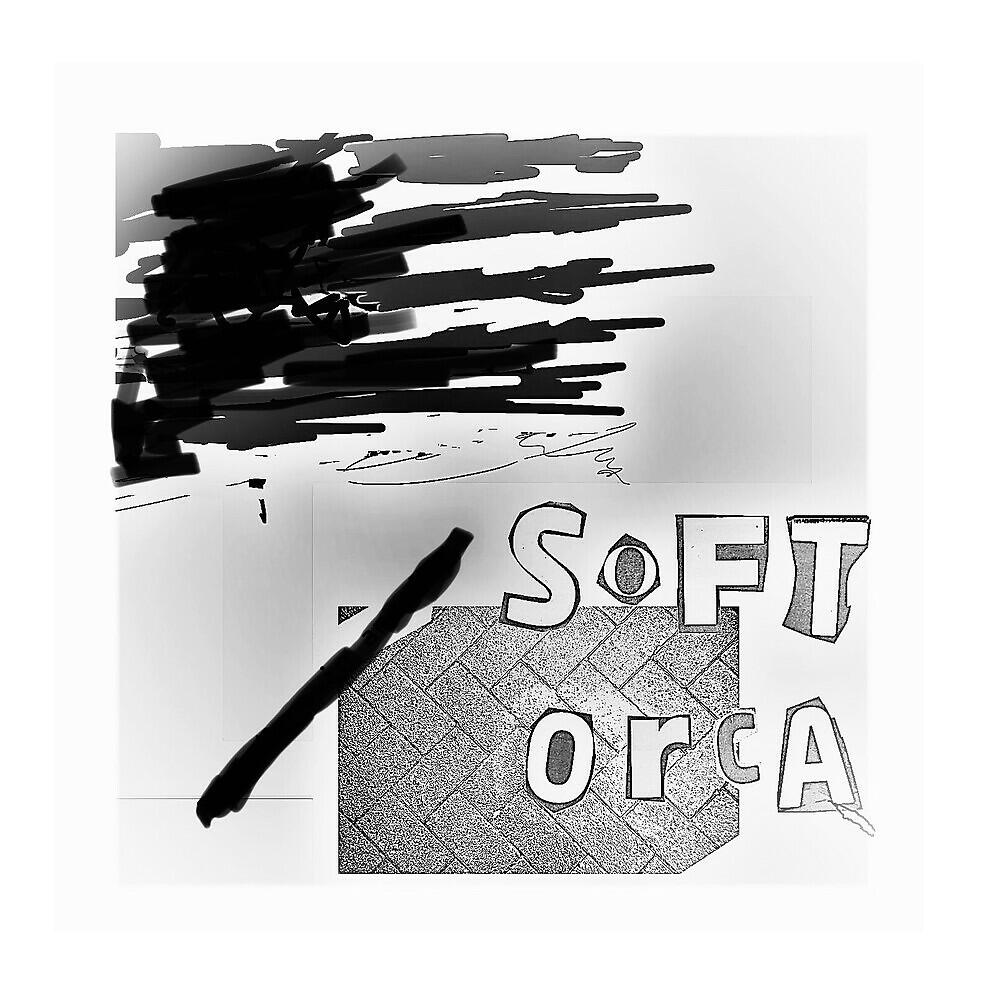 Soft Orca - Dancing on an Aeroplane Wing