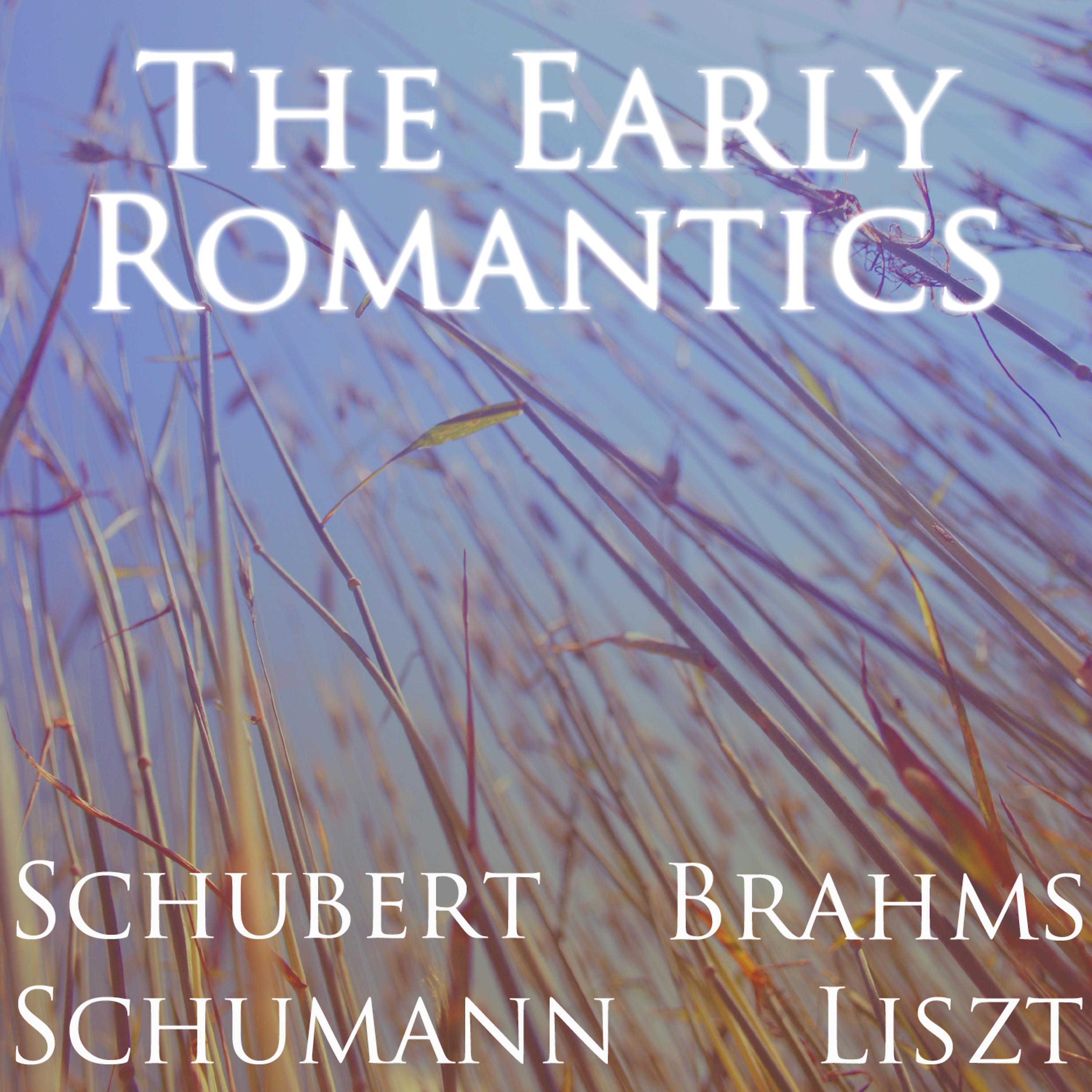 Постер альбома The Early Romantics: Schubert, Schumann, Brahms and Liszt