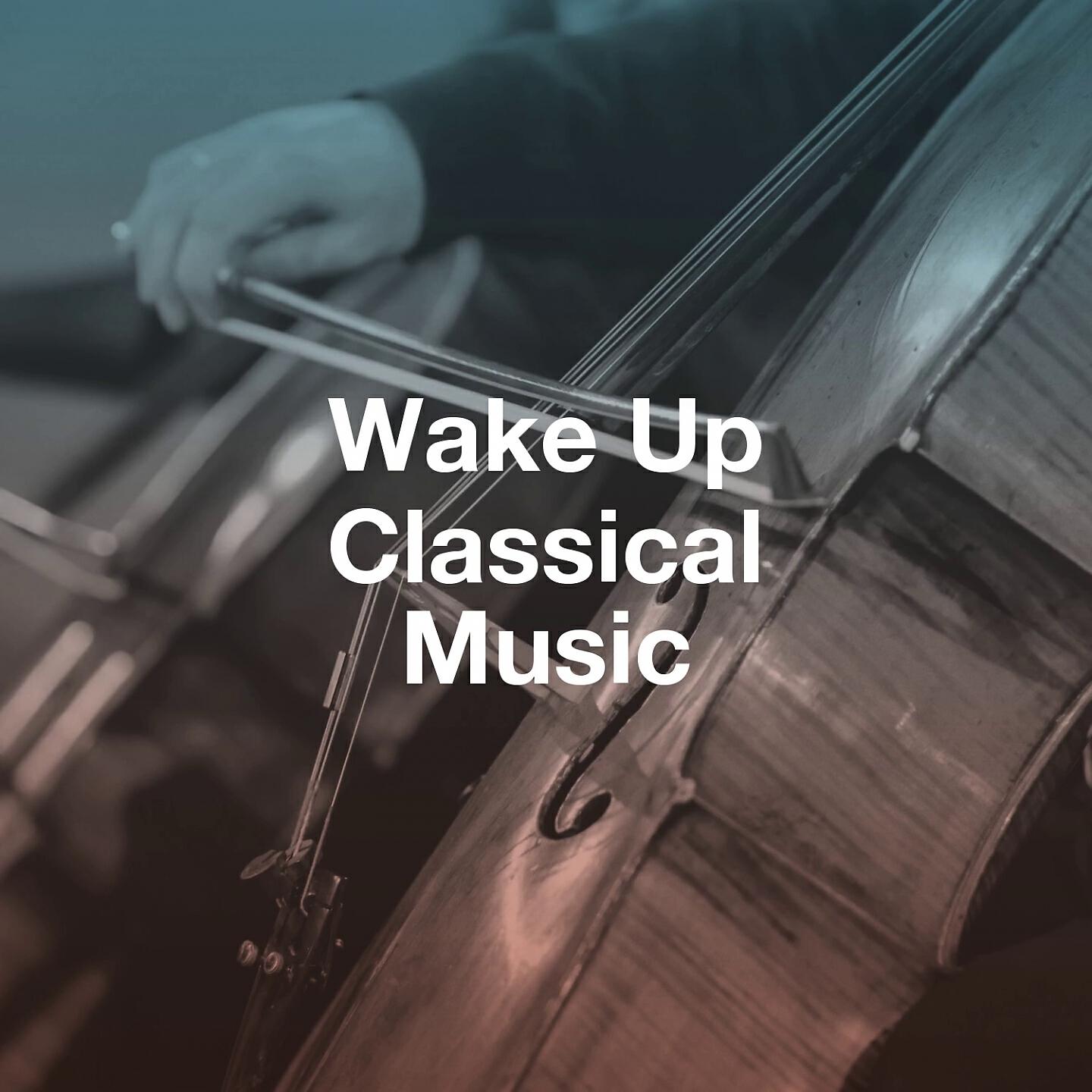Slovak Radio Symphony Orchestra - Carnival of the Animals: IV. Tortoises