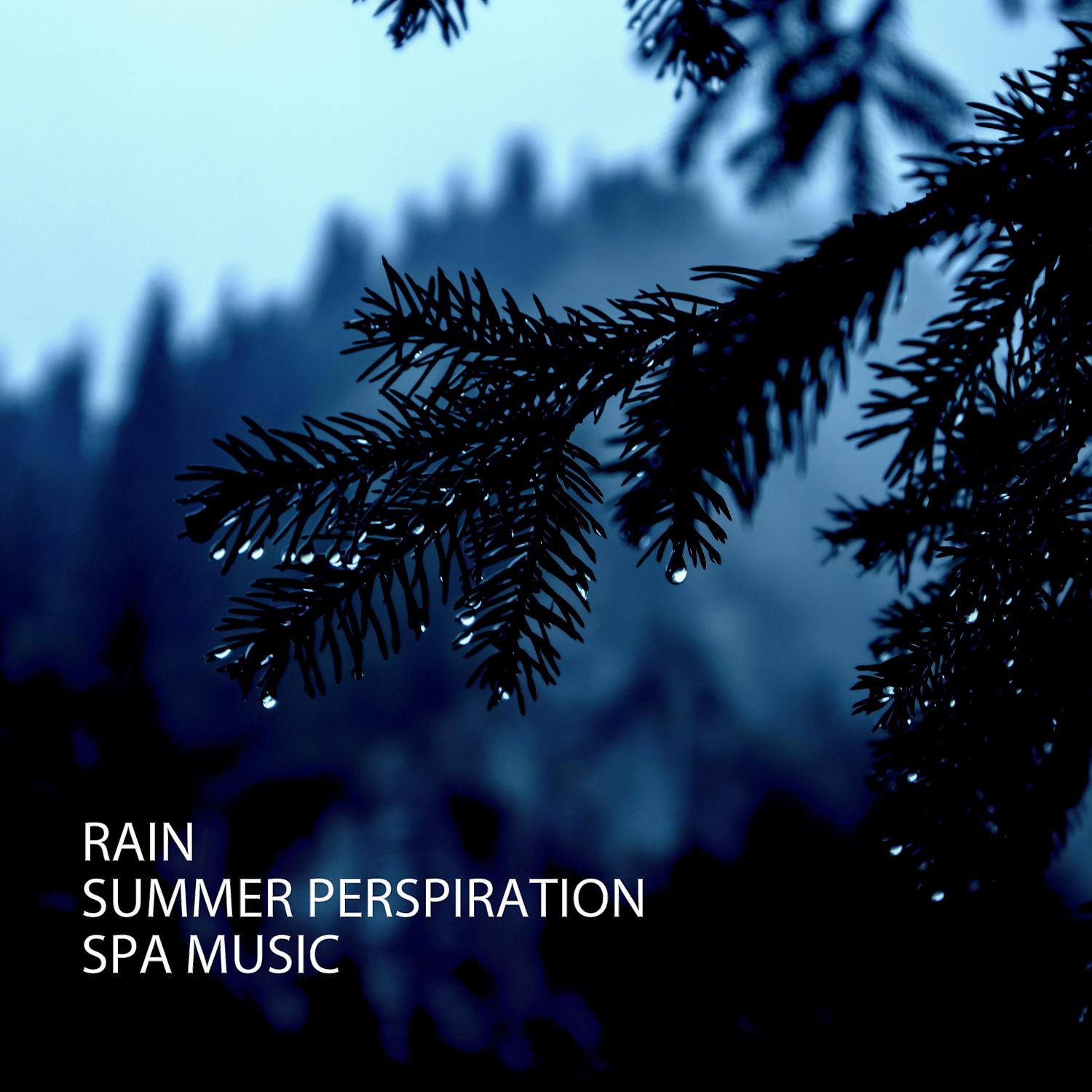 Постер альбома Rain: Summer Perspiration Spa Music