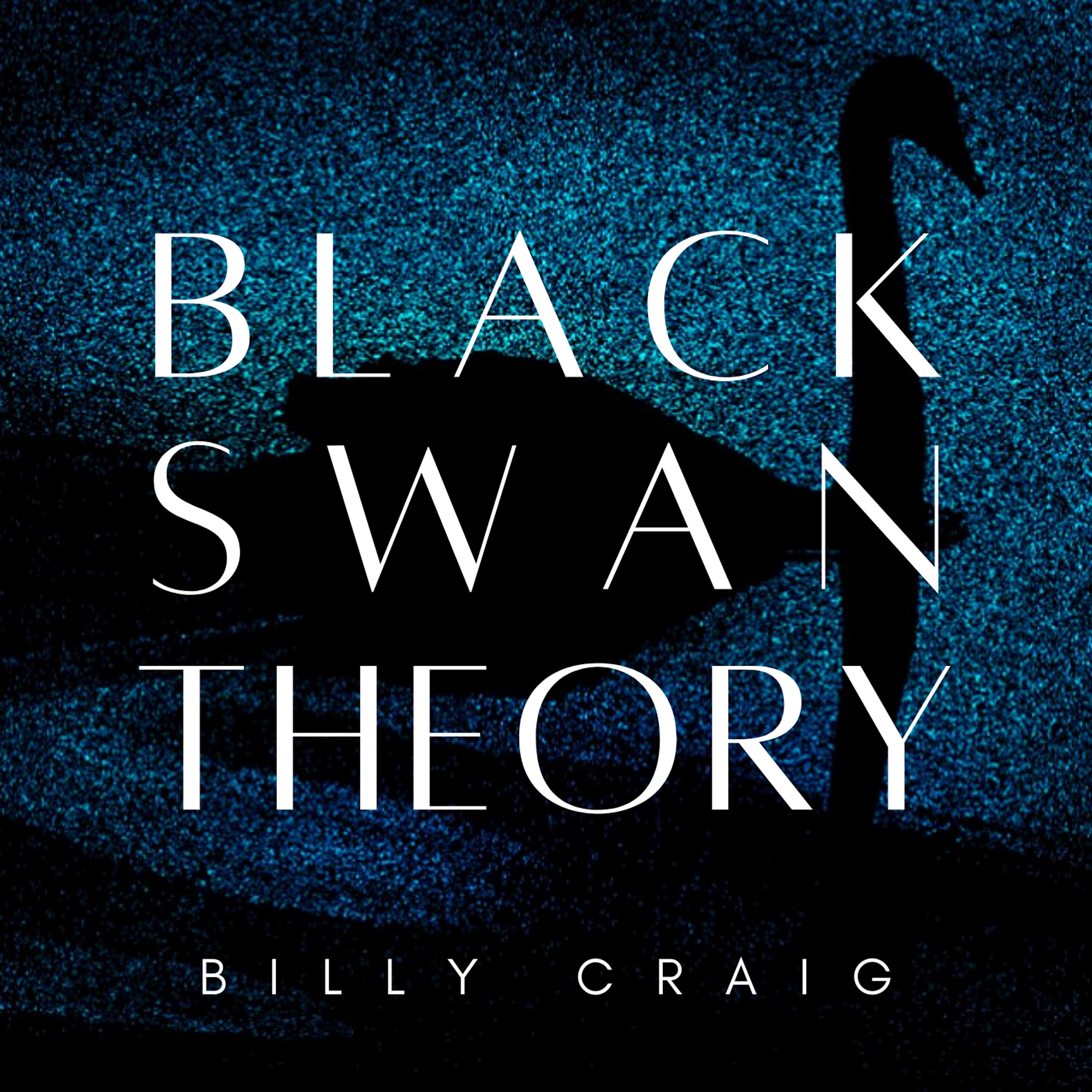 Постер альбома Black Swan Theory