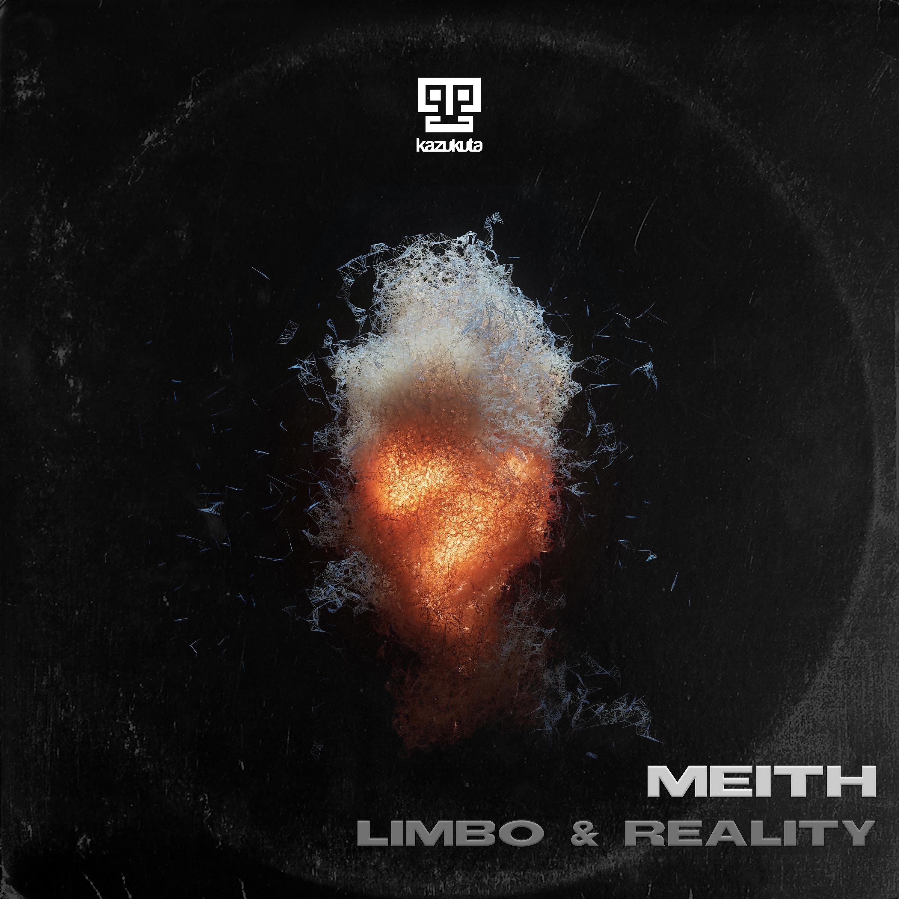 Постер альбома Limbo & Reality