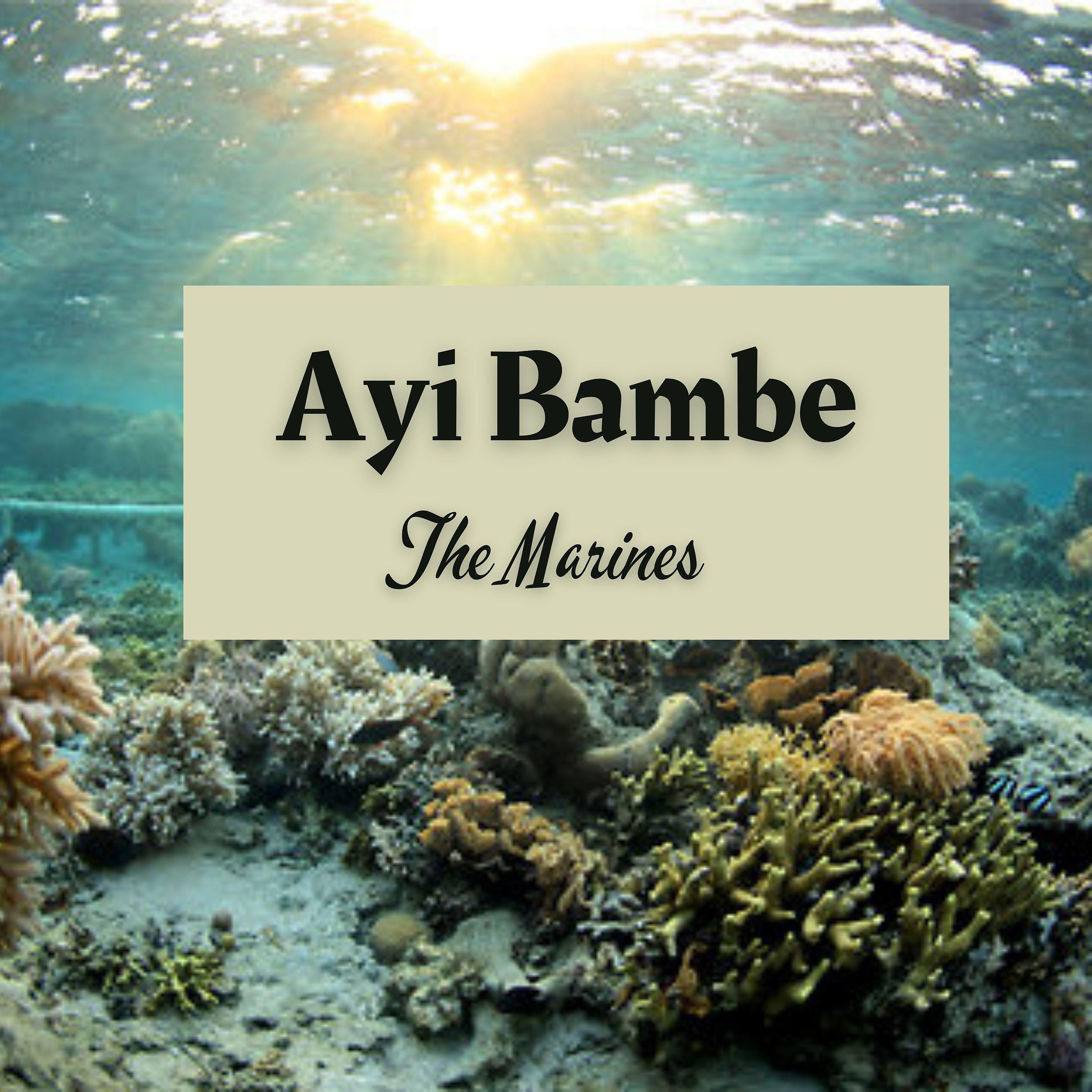 Постер альбома Ayi Bambe
