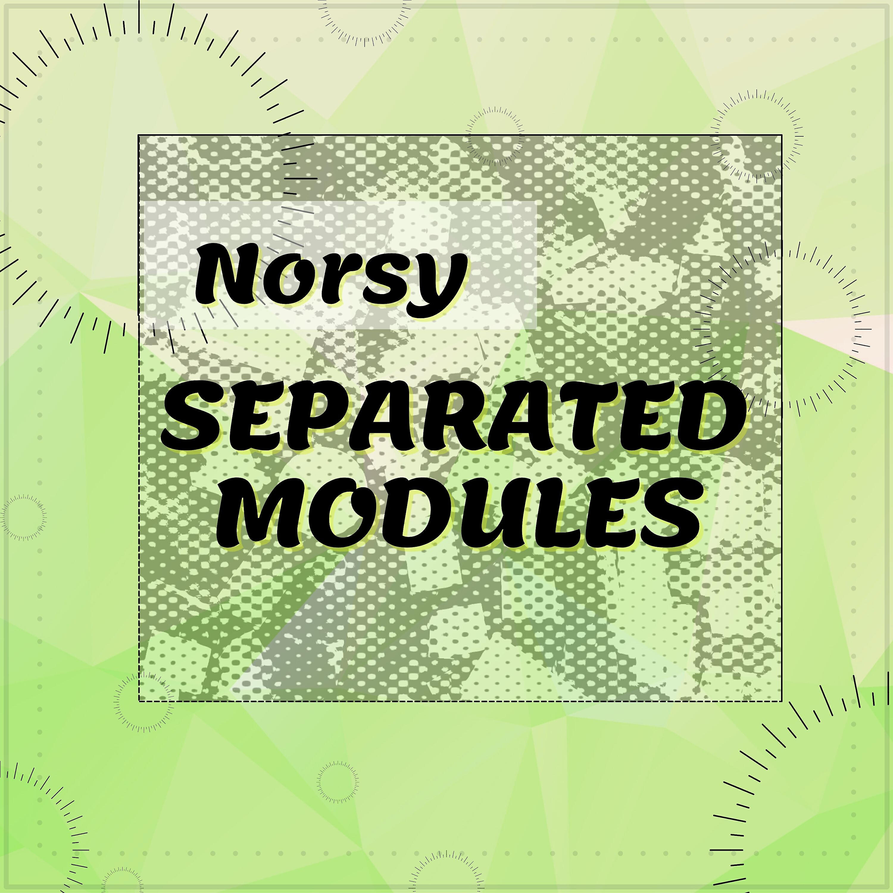 Norsy - Separated Modules