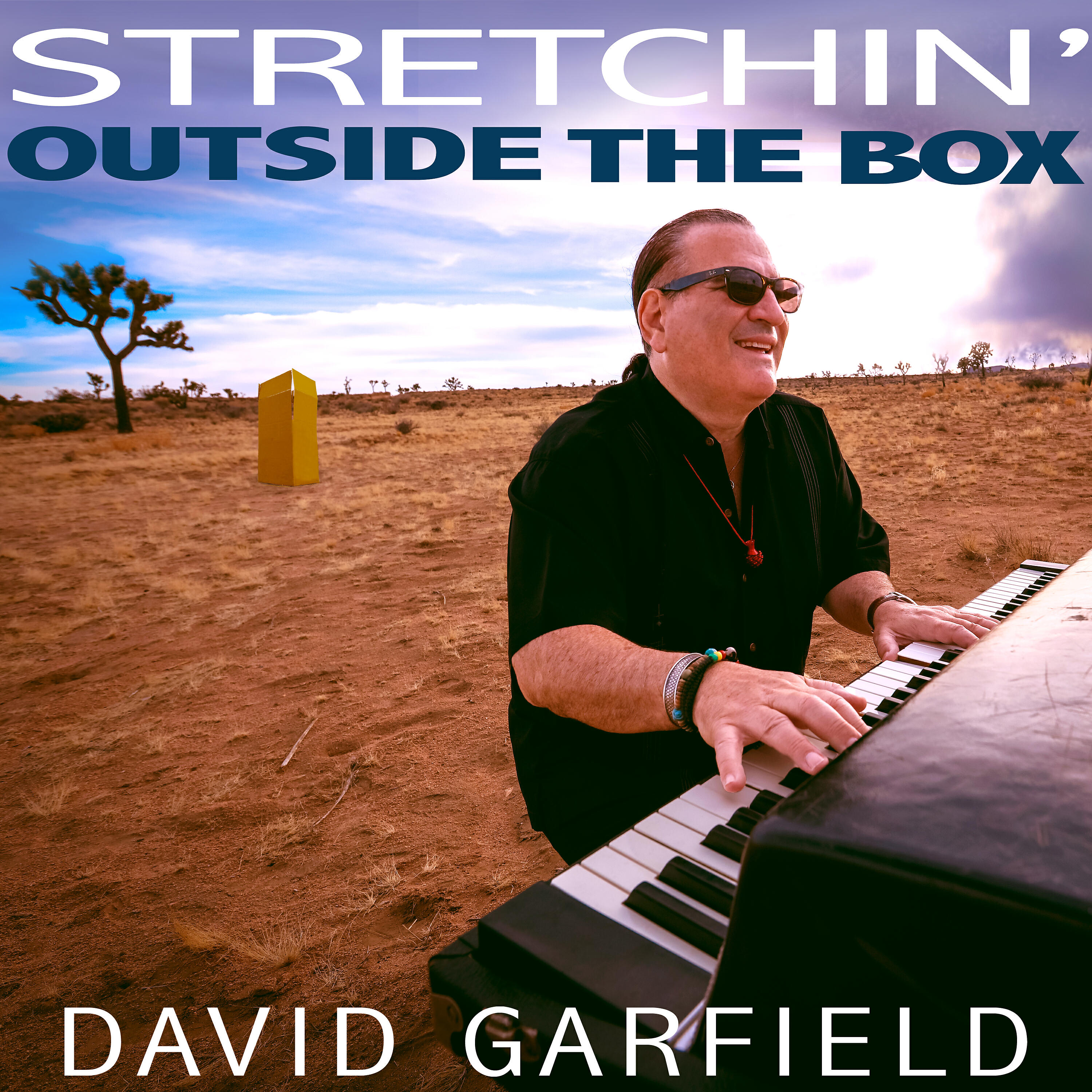 David Garfield - Shufflin'
