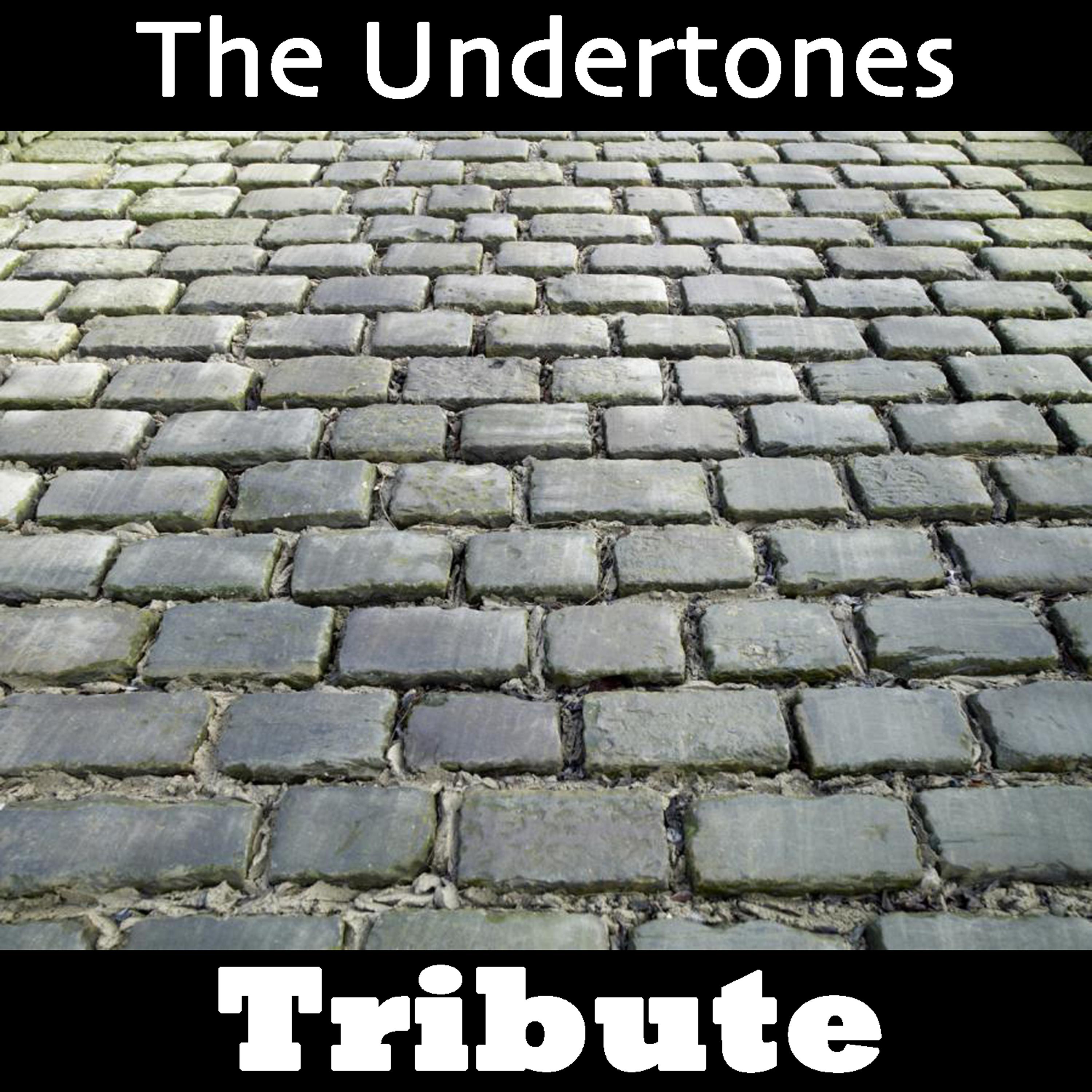 Постер альбома Teenage Kicks: Tribute to The Undertones
