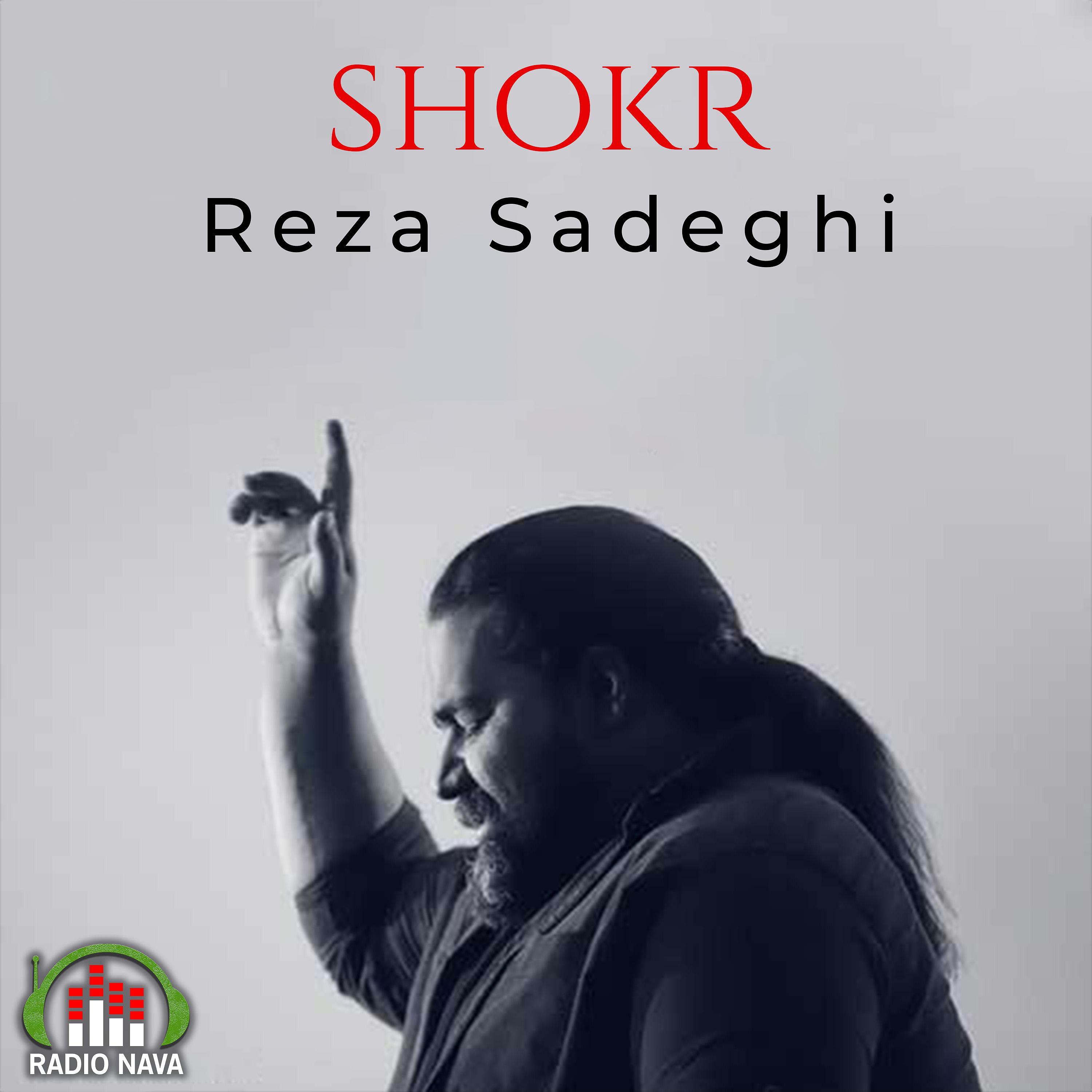 Постер альбома Shokr