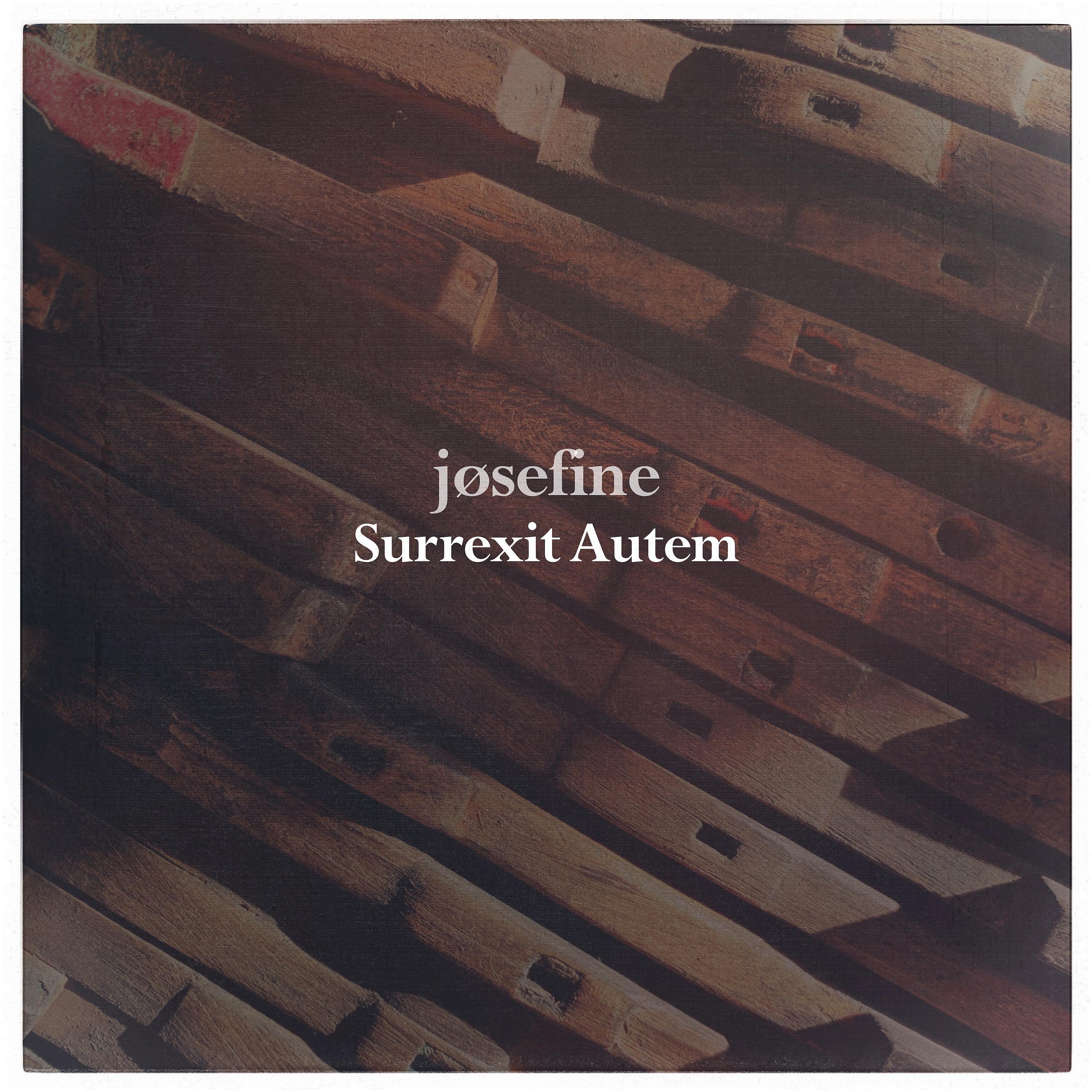 Постер альбома Surrexit Autem