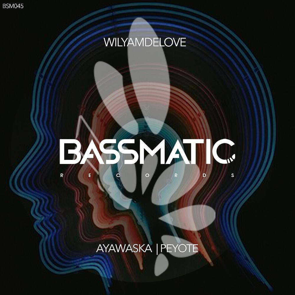WilyamDeLove - Ayawaska (Original Mix)