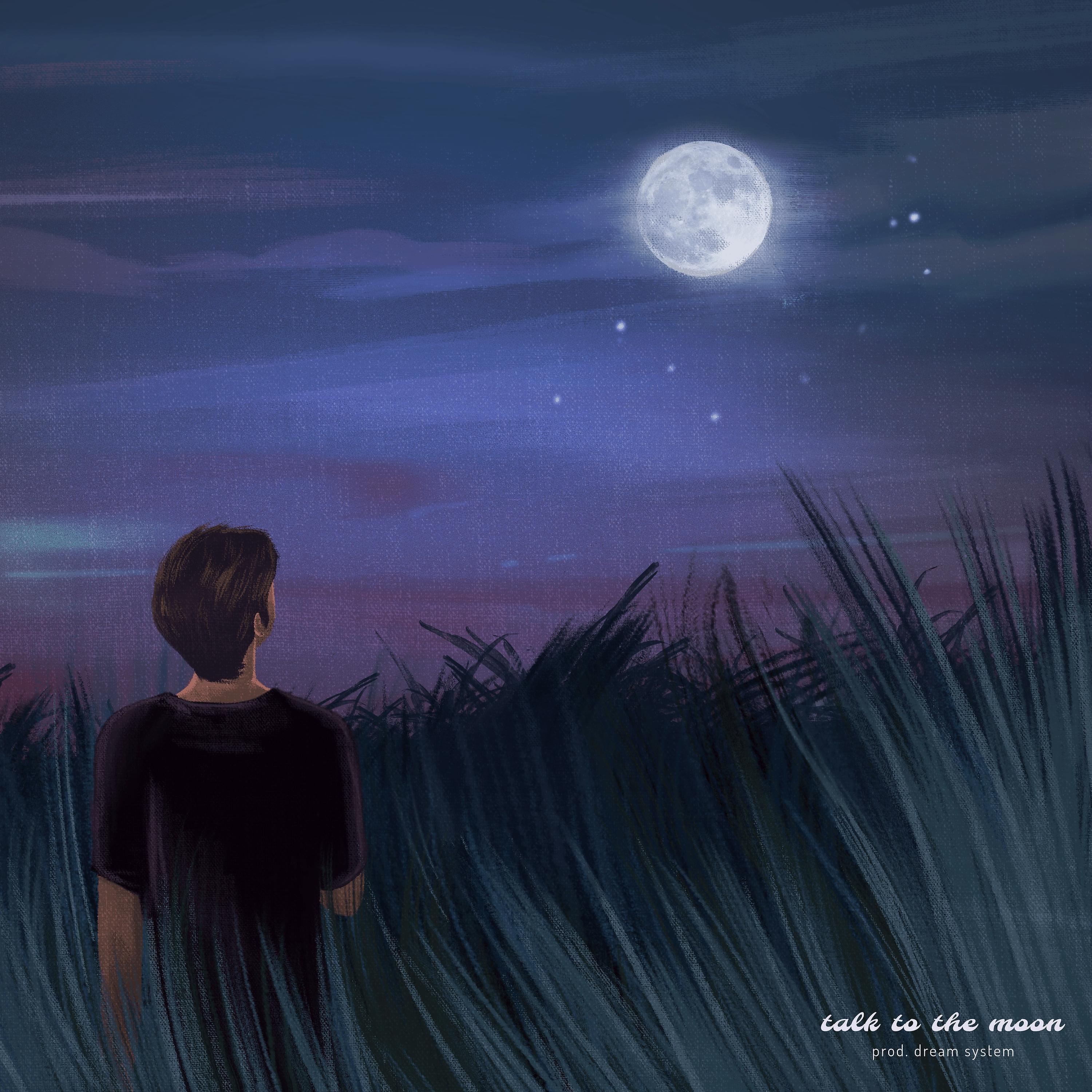 Постер альбома talk to the moon