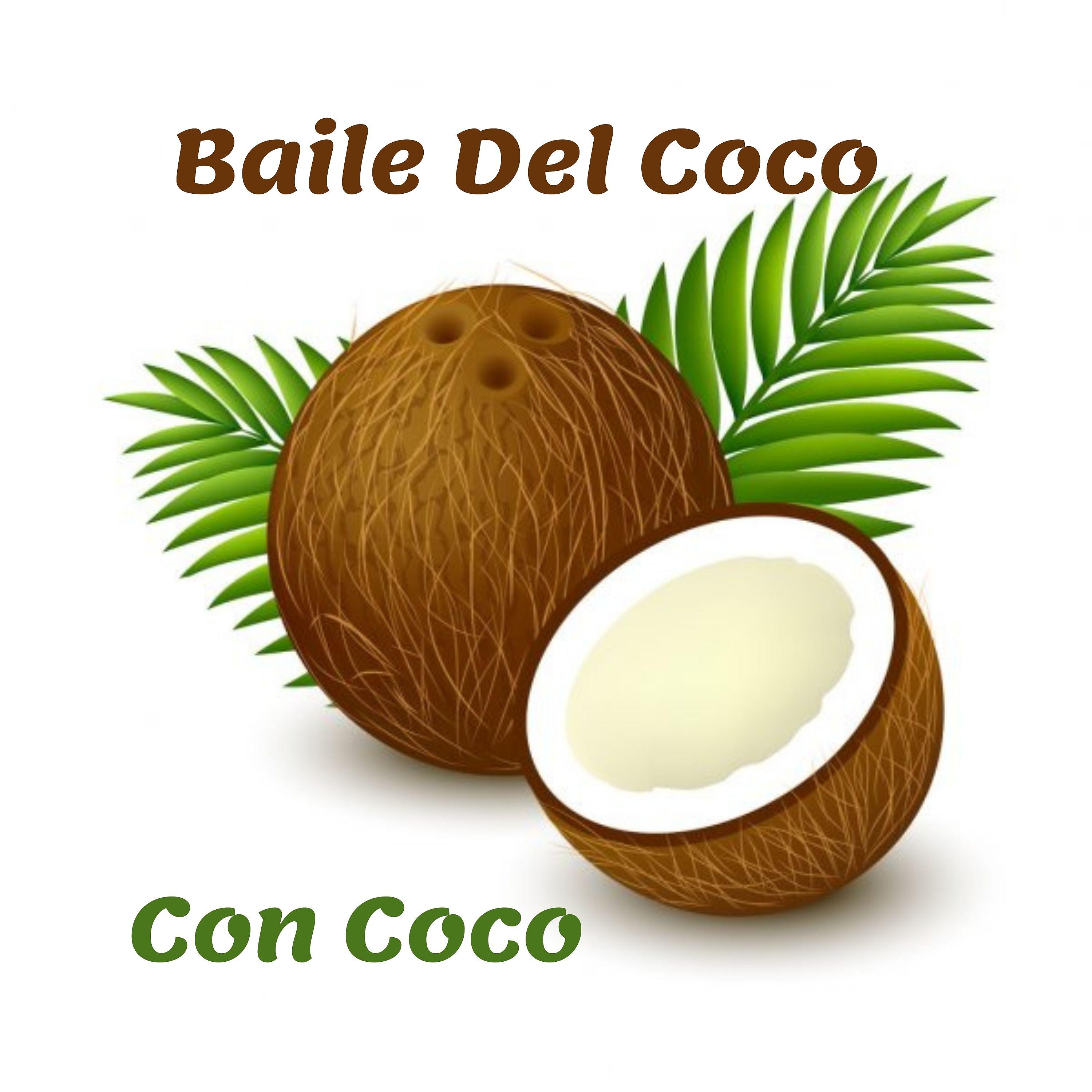 Постер альбома Baile del Coco (Con Coco)