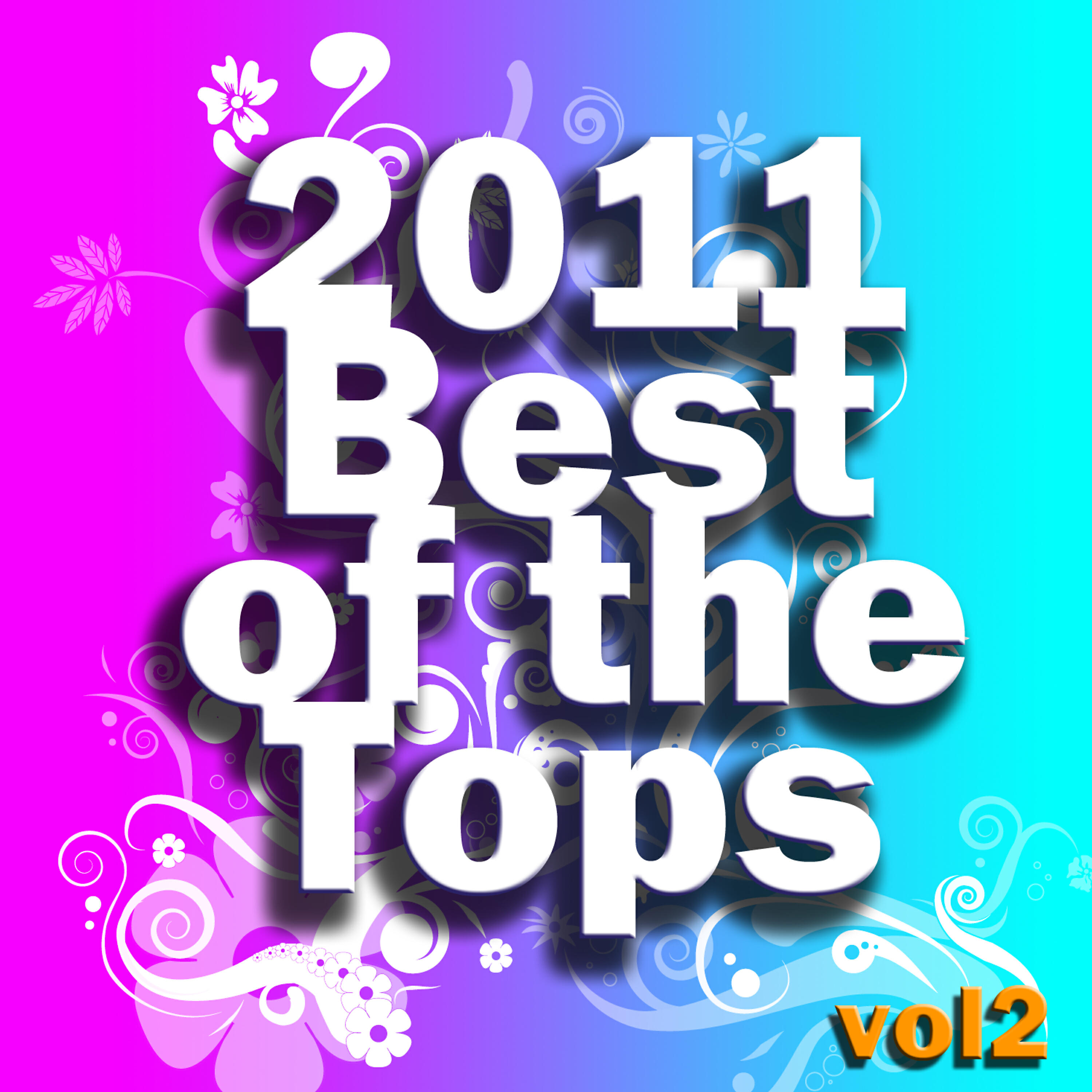 2011 Top Artists - S&M (Re-Recorded Version)