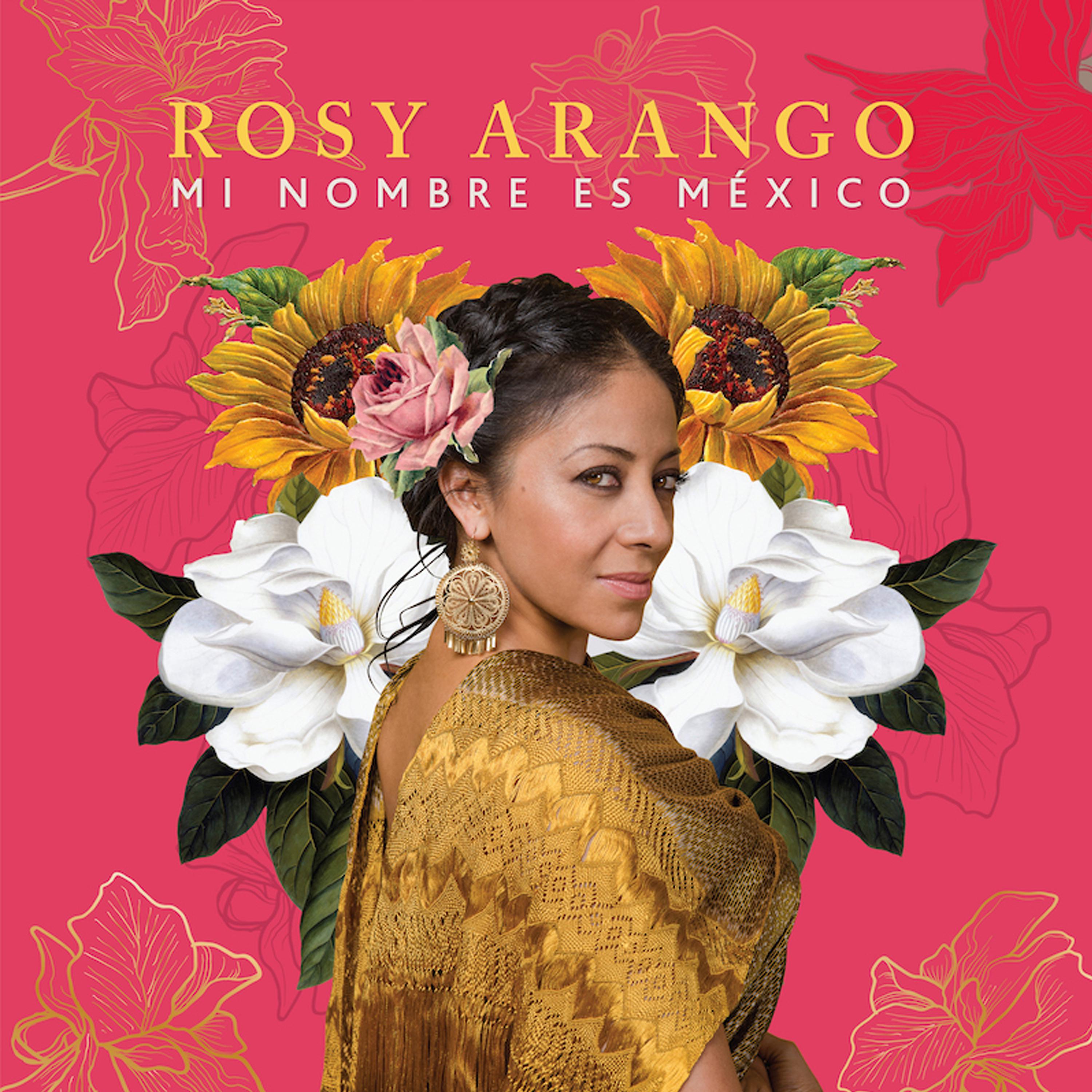 Постер альбома Mi Nombre Es México