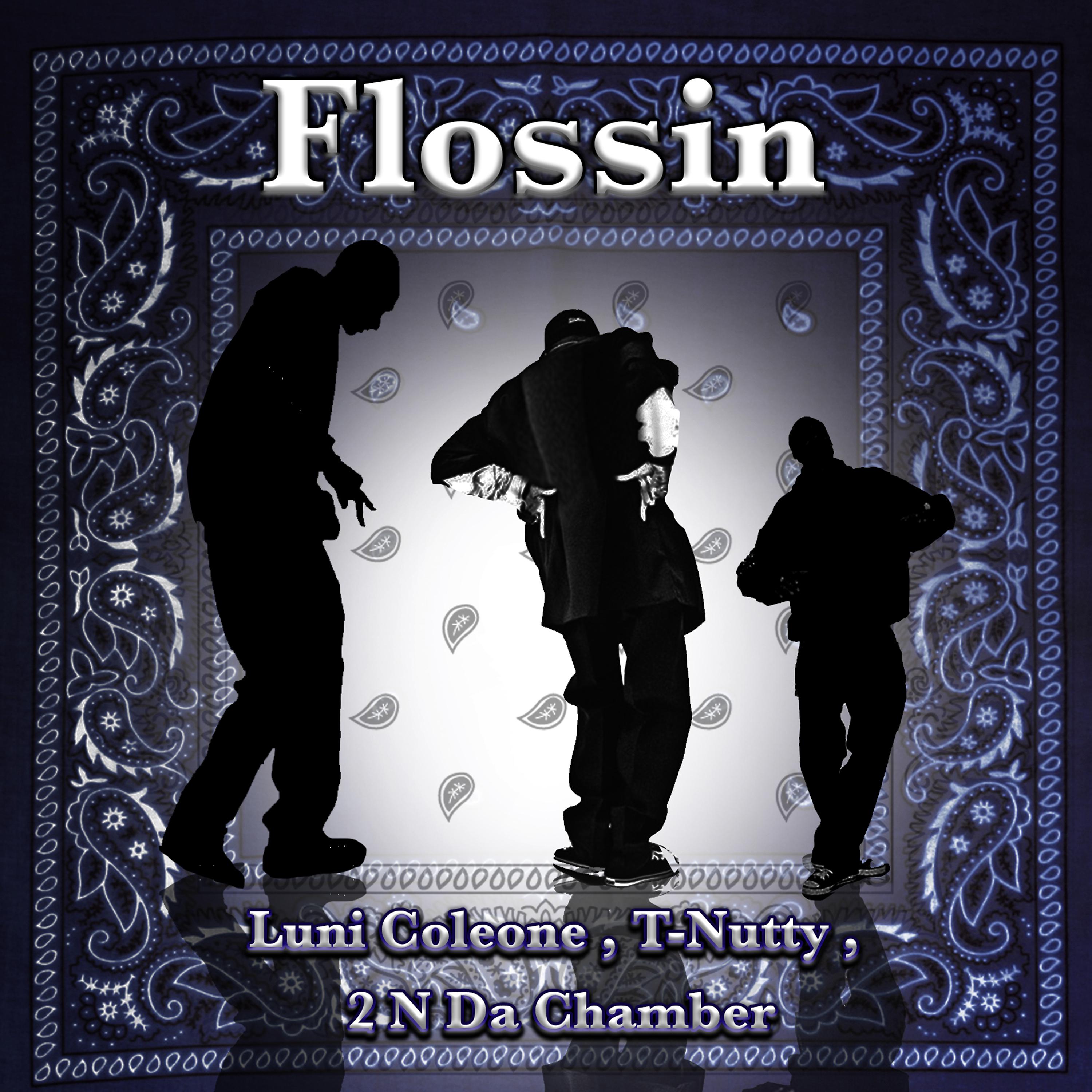 Постер альбома Flossin