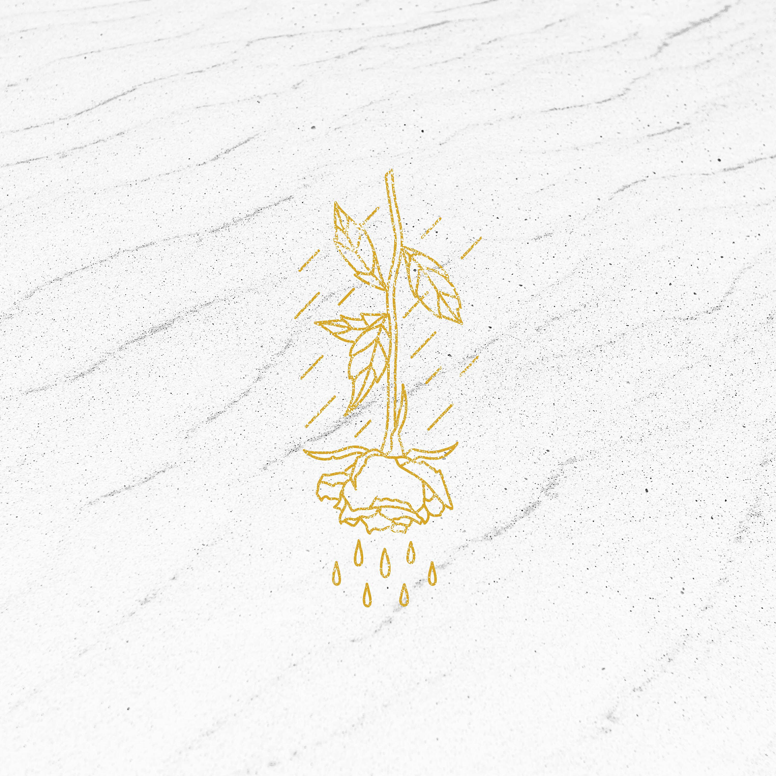 Fit For A King - When Everything Means Nothing (Cinematic)