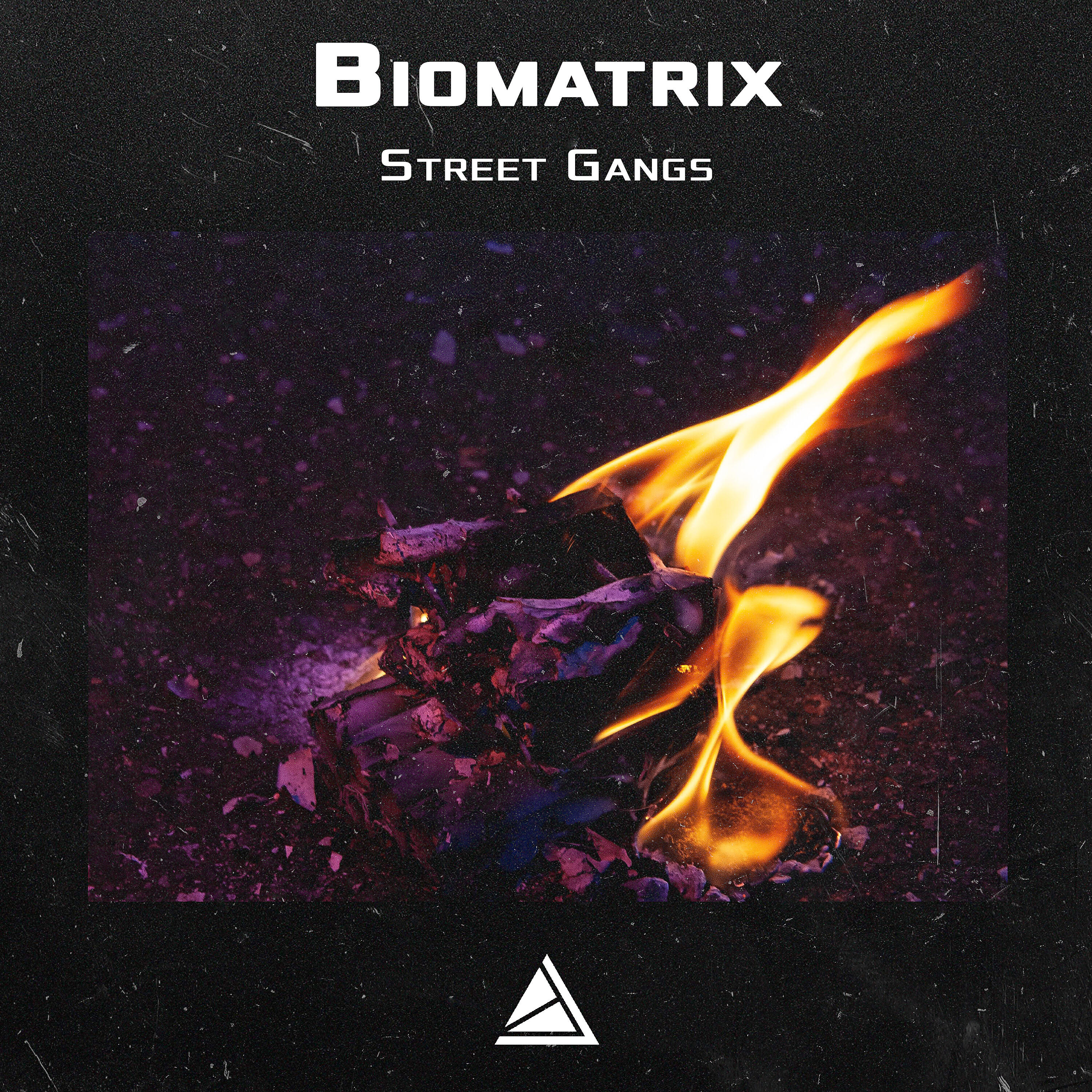 Biomatrix - Scavenger