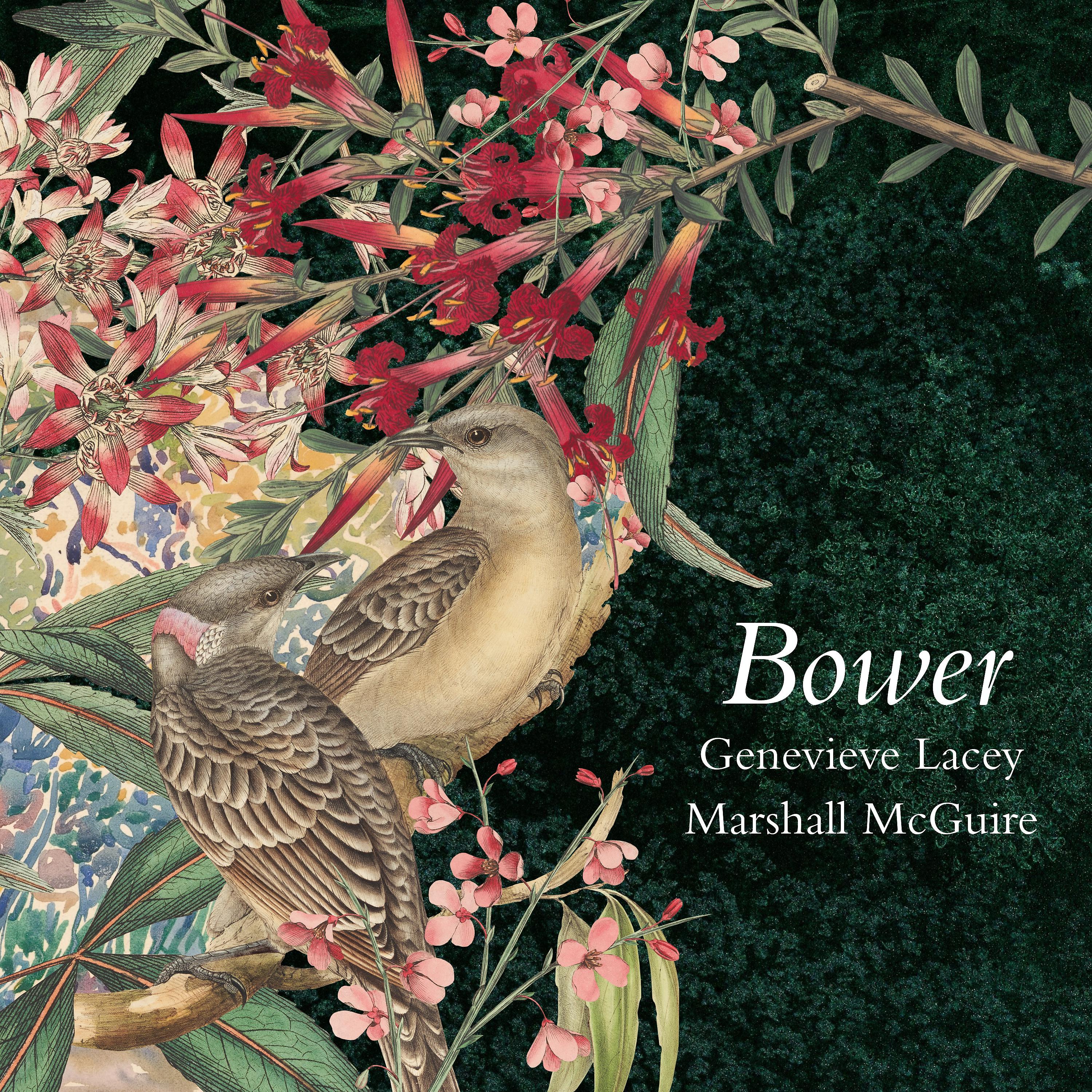 Постер альбома Bower