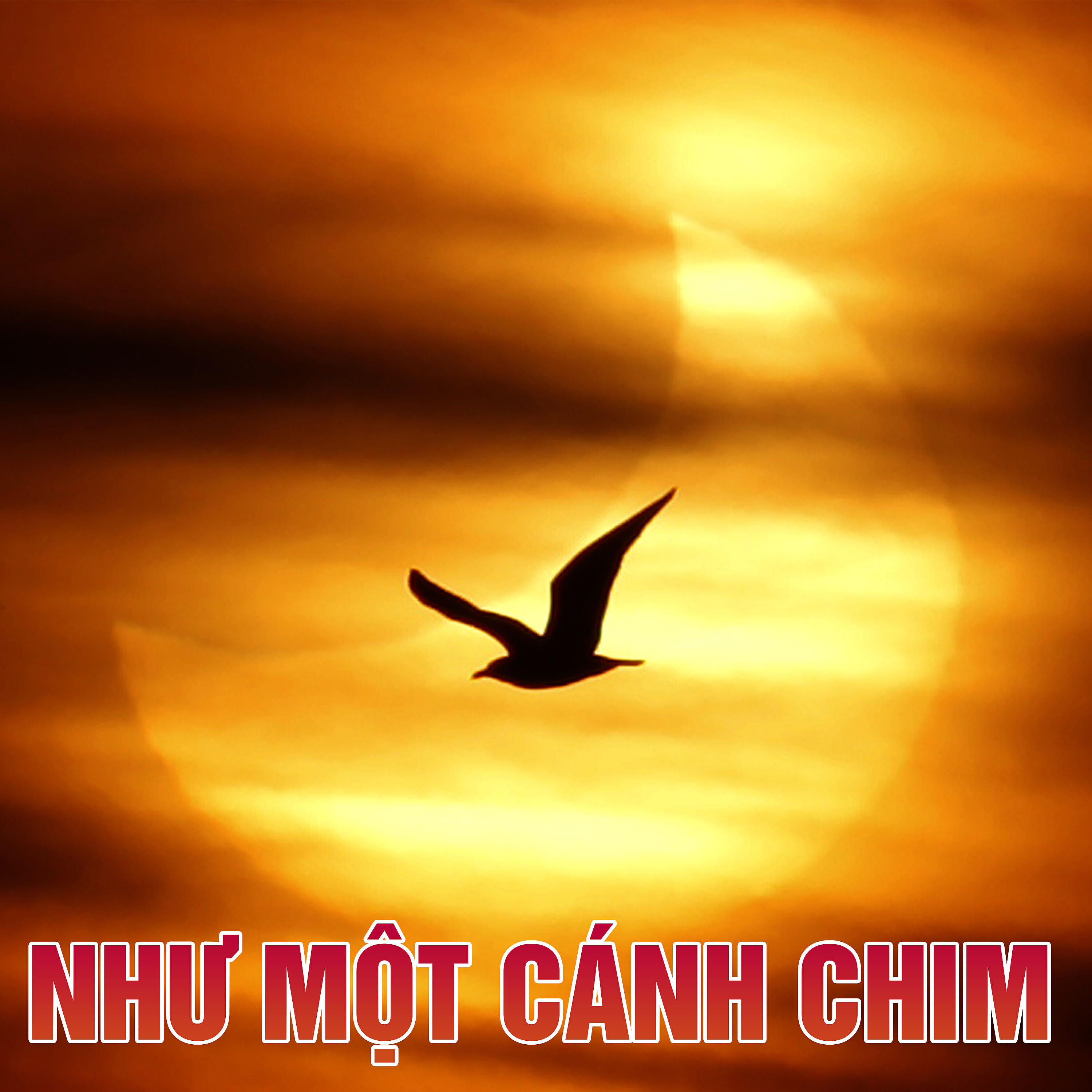 Ngọc Tân - Sơn nữ ca