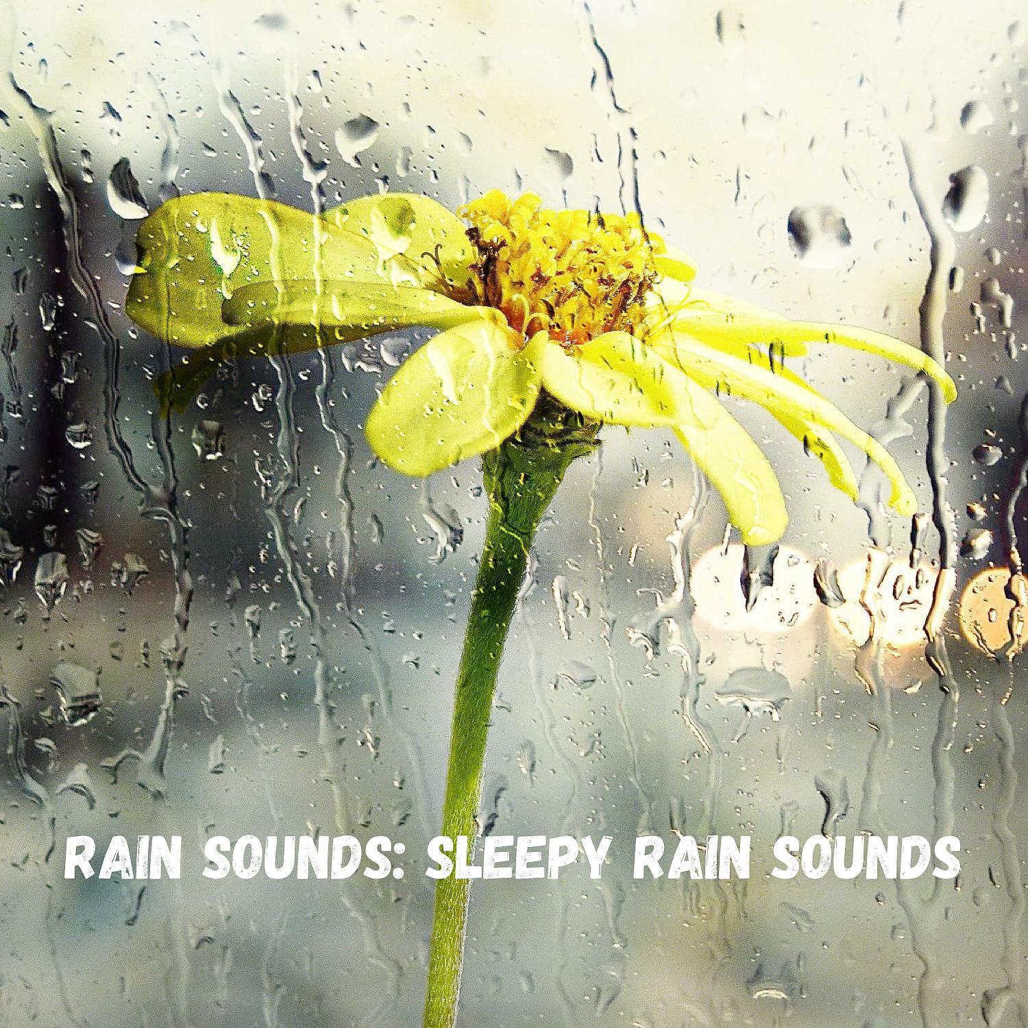 Постер альбома Rain Sounds: Sleepy Rain Sounds