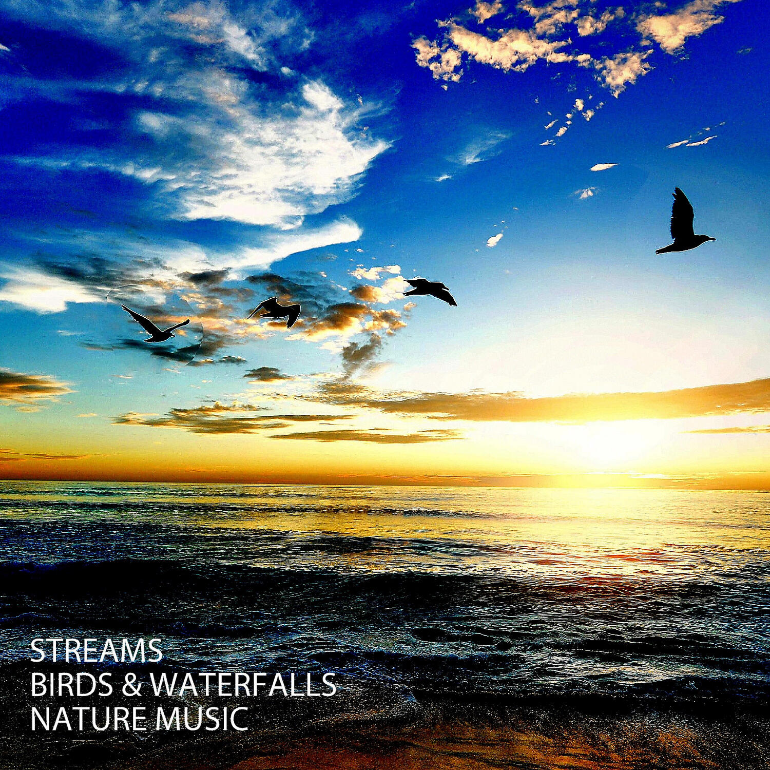 Nature Sounds XLE Library - Night Sound Stream