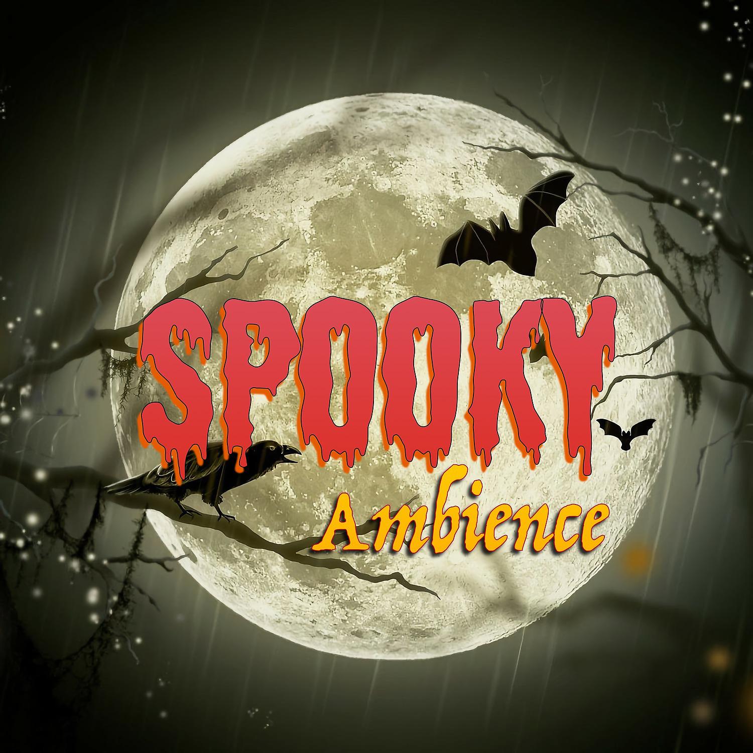 Постер альбома Spooky Ambience