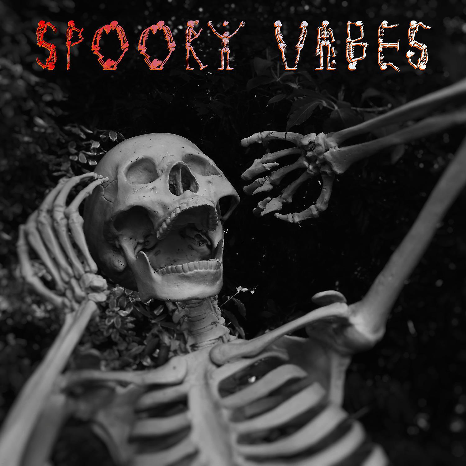 Постер альбома Spooky Vibes